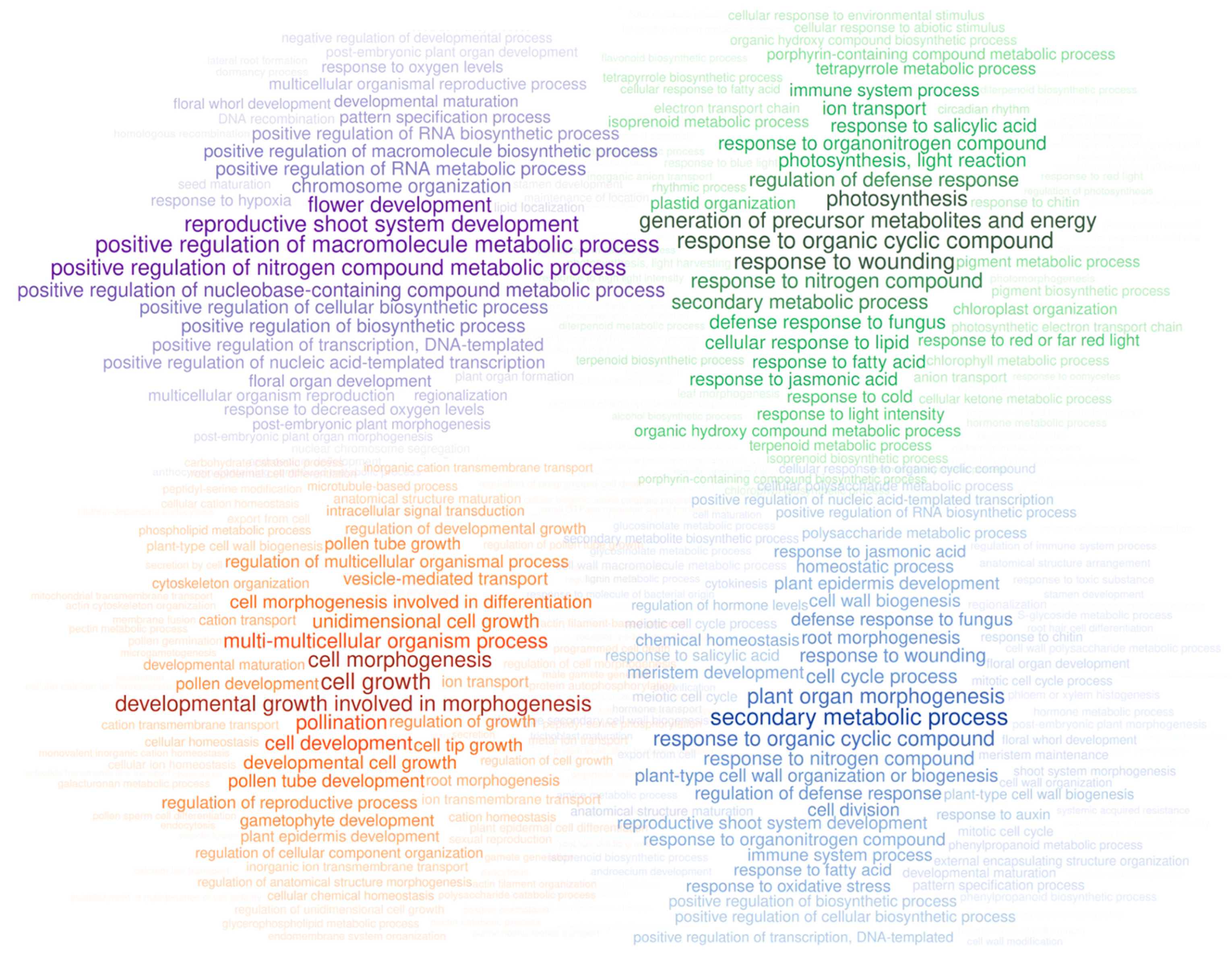 Plants 12 01274 g003 Plants 12 01274 g003