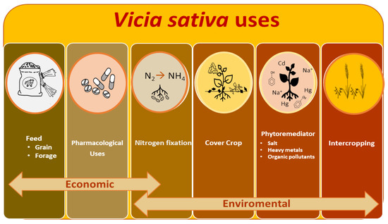 Plants | Free Full-Text | Designing Novel Strategies for Improving 