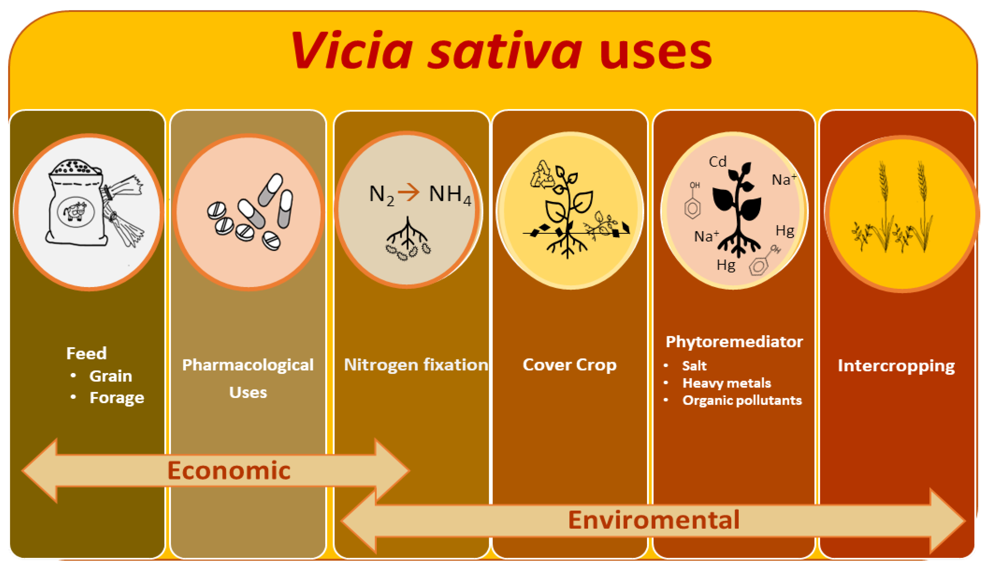 Plants | Free Full-Text | Designing Novel Strategies for Improving 