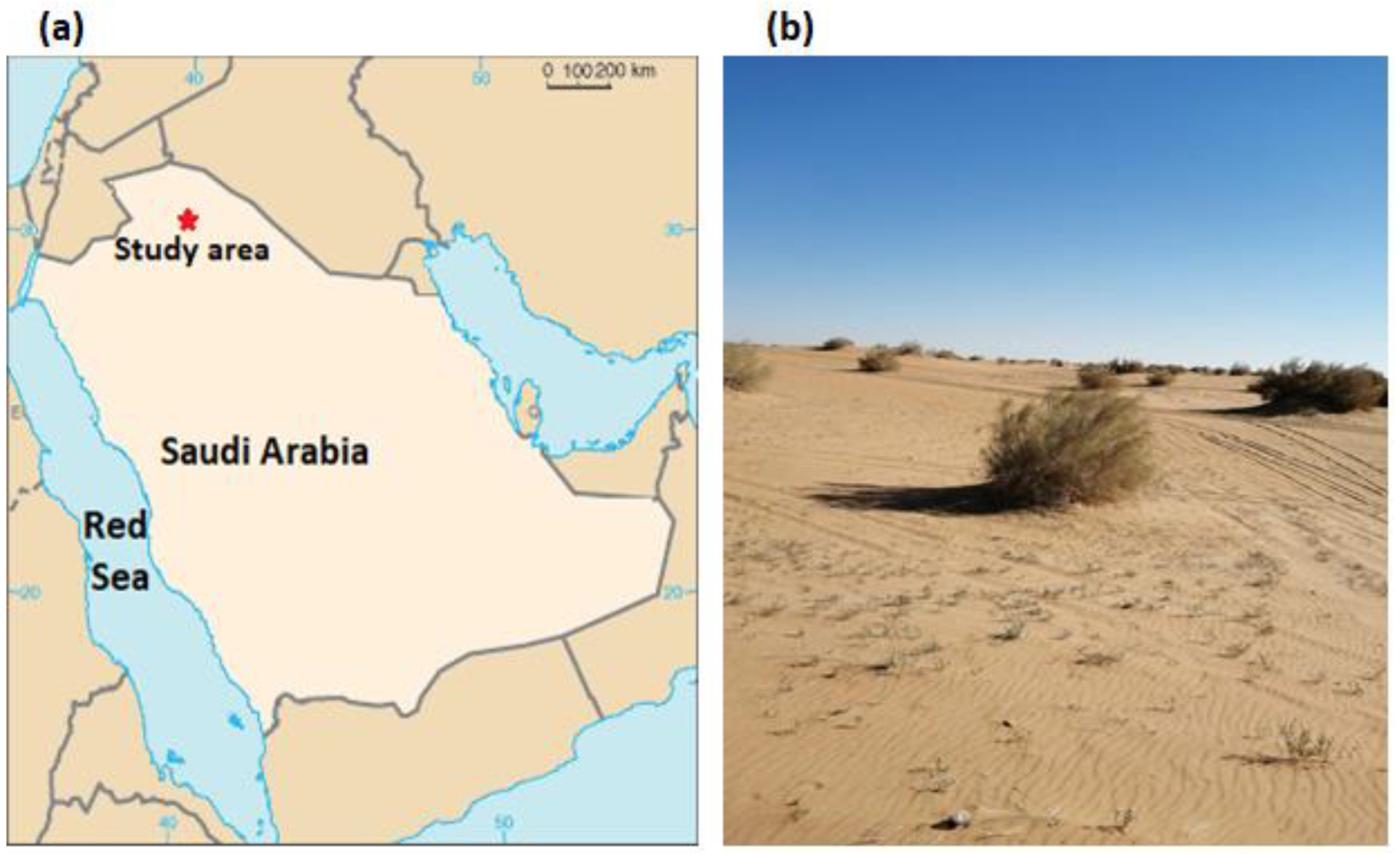 Plants 12 01276 g005