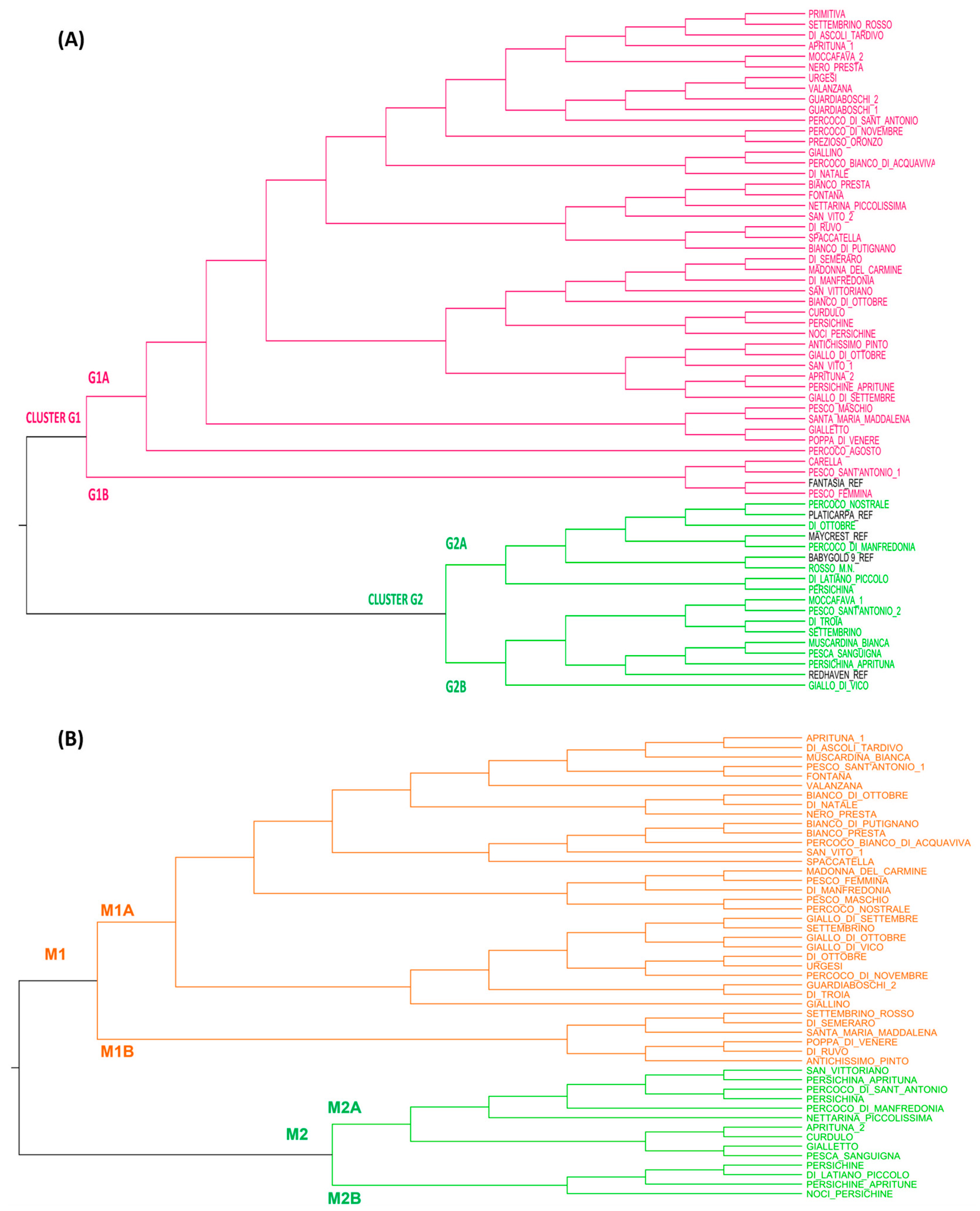 Plants 12 01279 g004 Plants 12 01279 g004