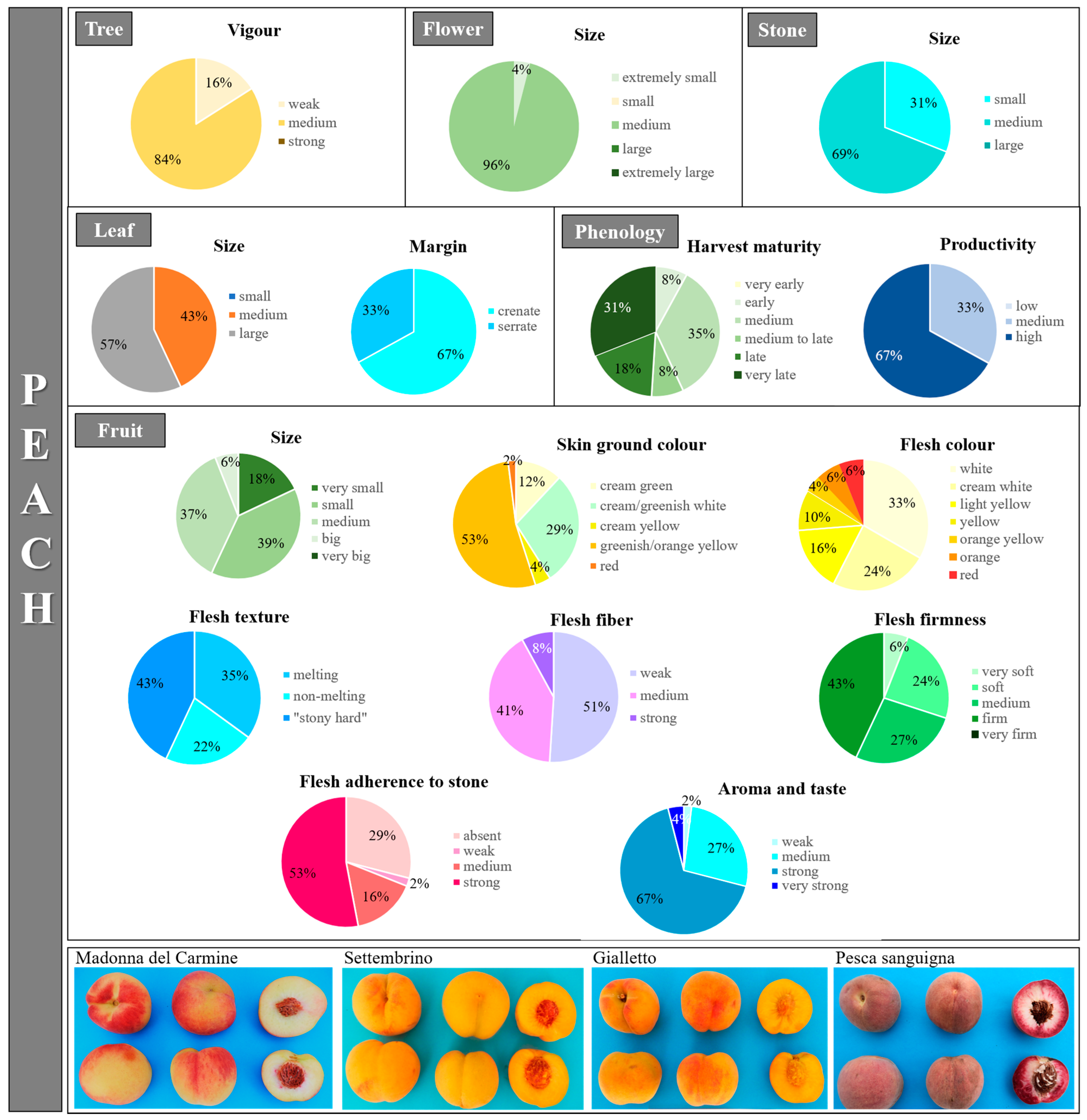 Plants 12 01279 g006 Plants 12 01279 g006