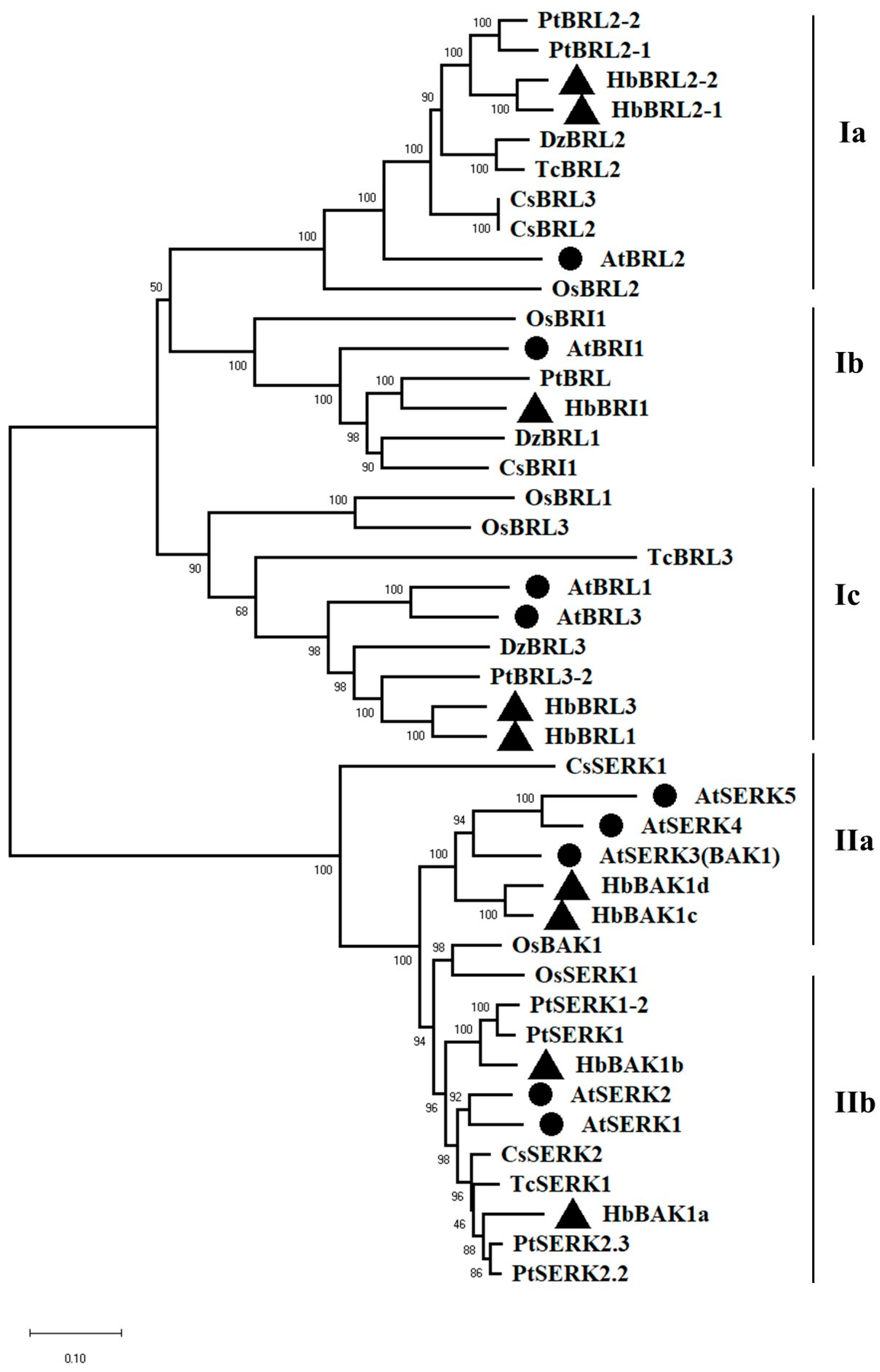 Plants 12 01280 g001