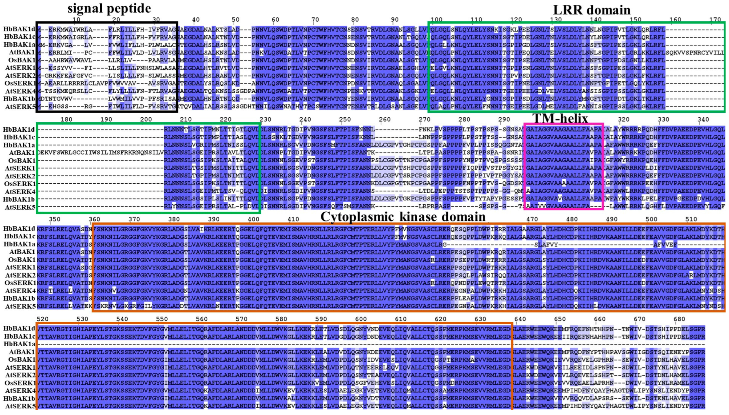 Plants 12 01280 g003