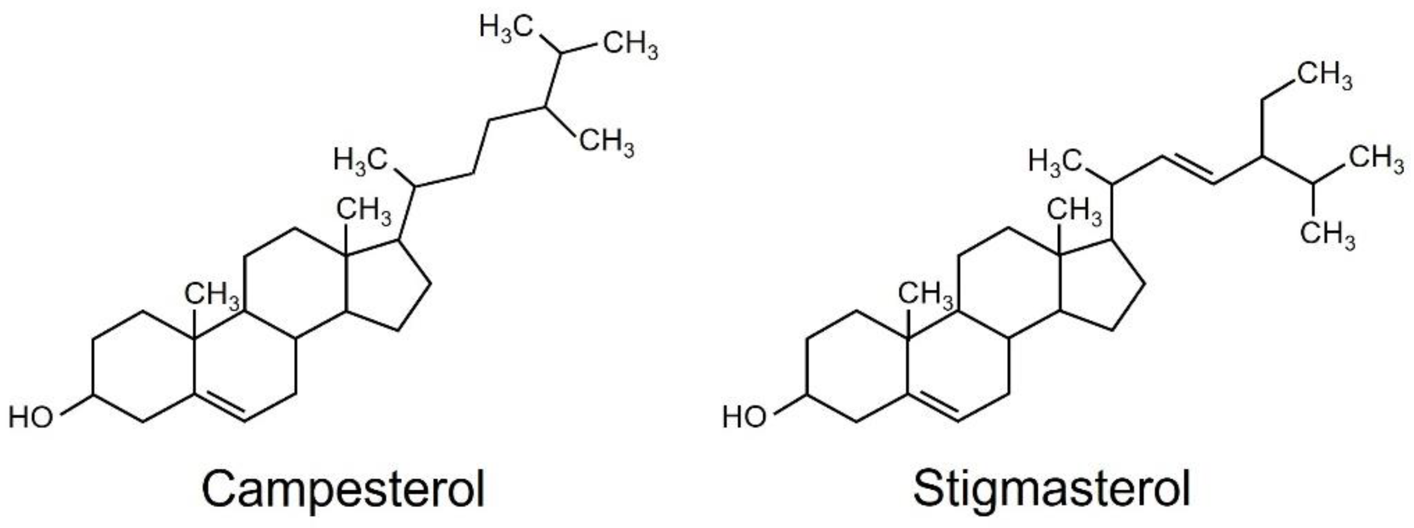 Plants 12 01282 g002 Plants 12 01282 g002
