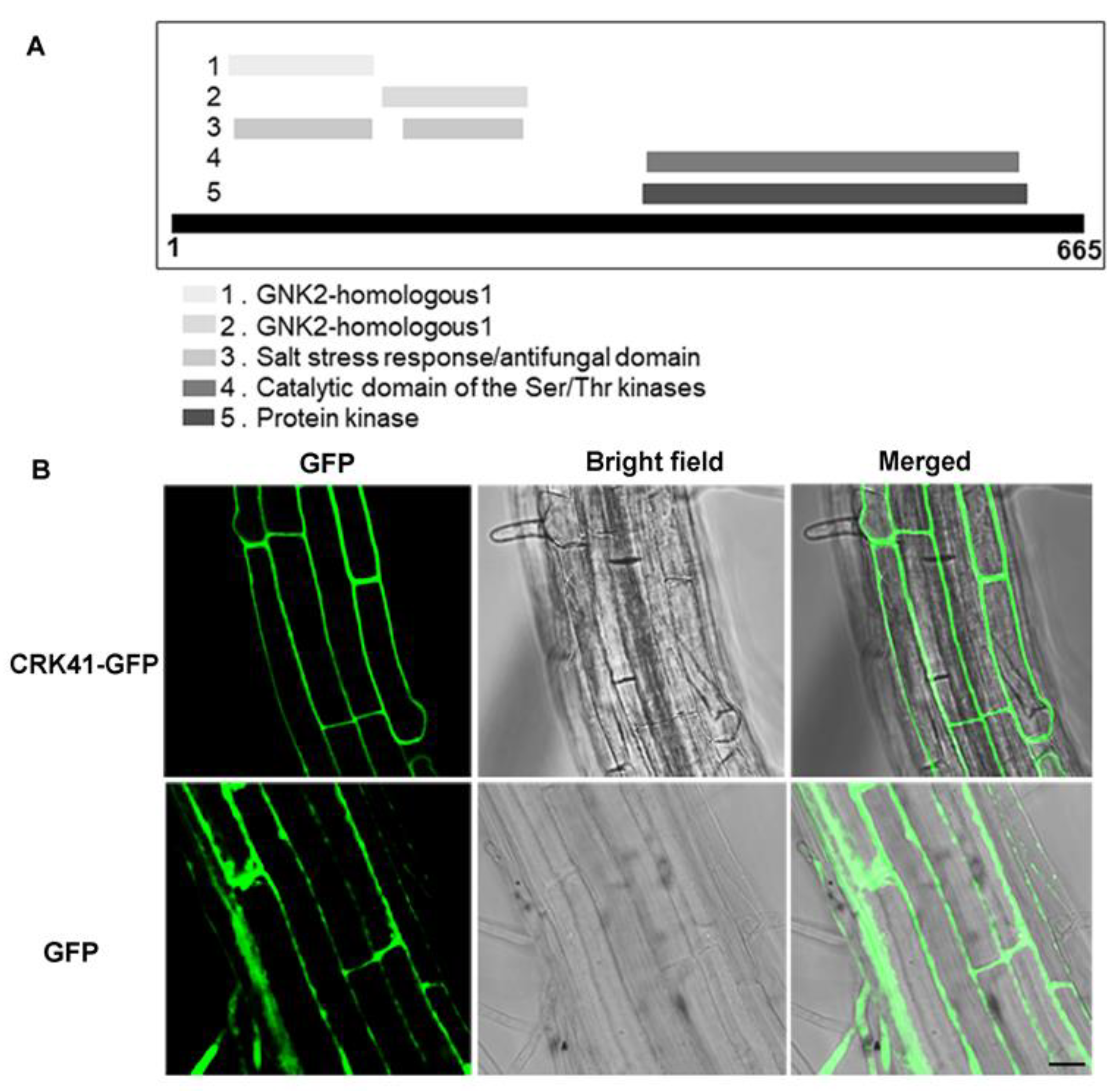 Plants 12 01285 g001
