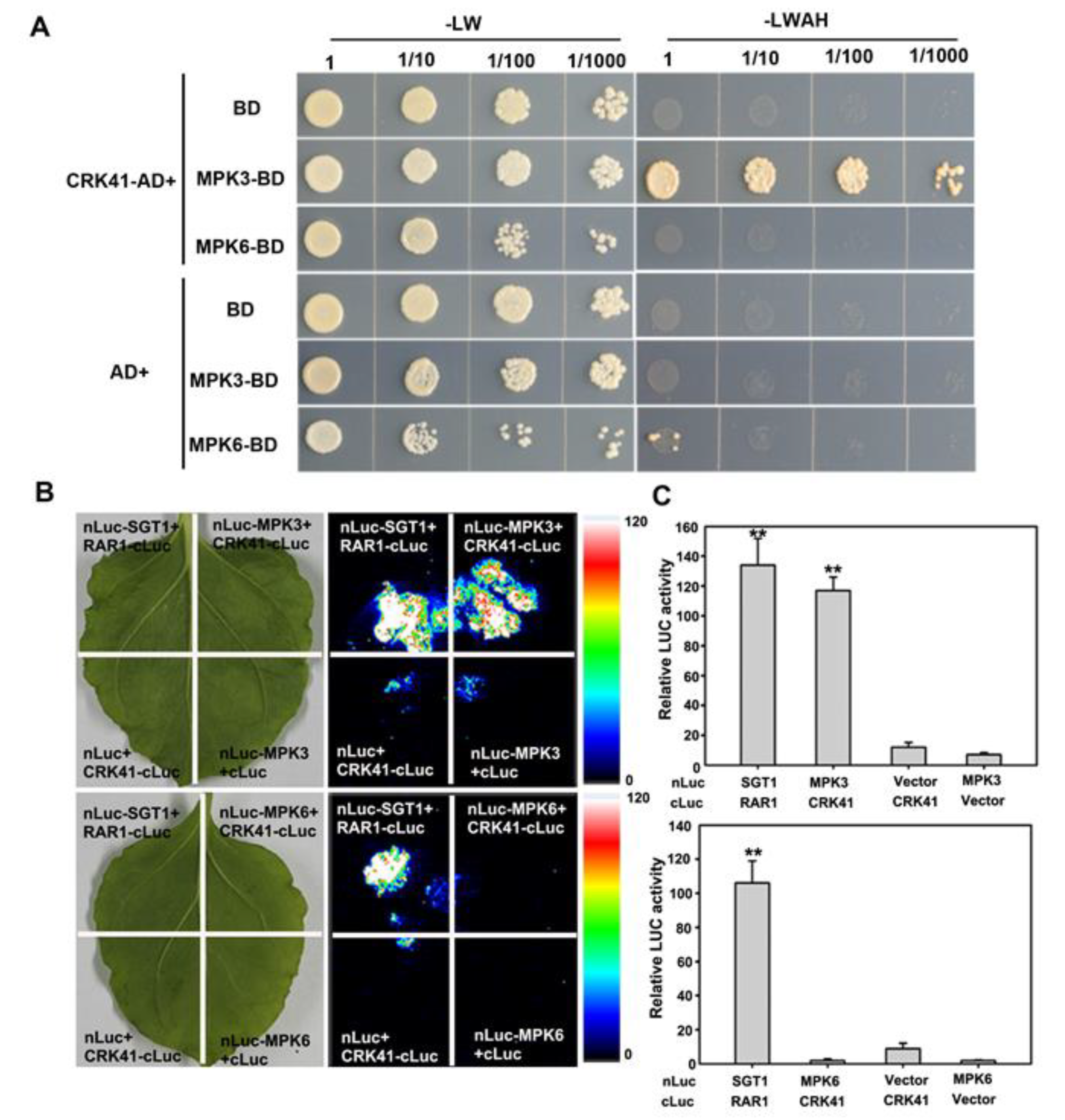 Plants 12 01285 g004