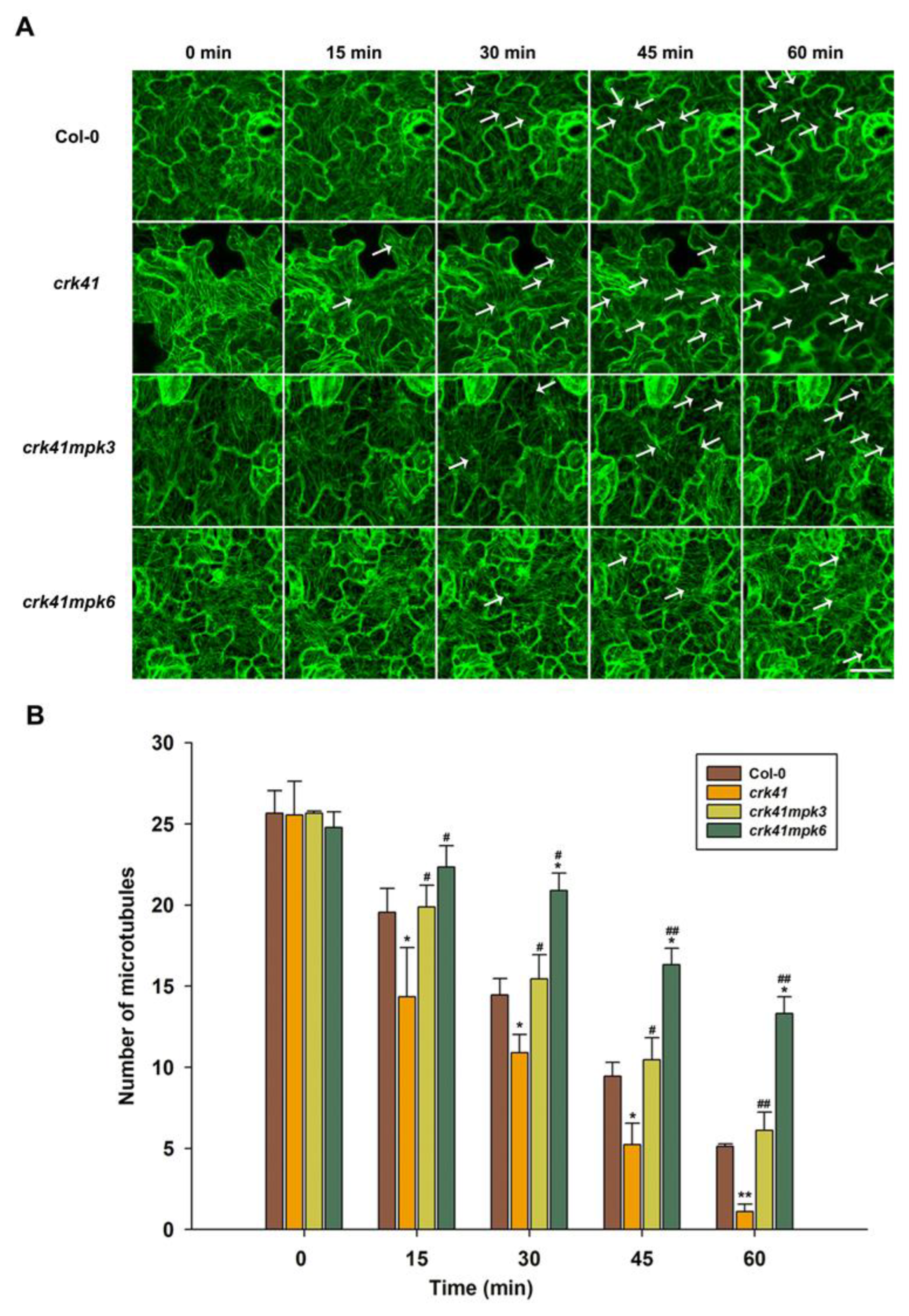 Plants 12 01285 g006