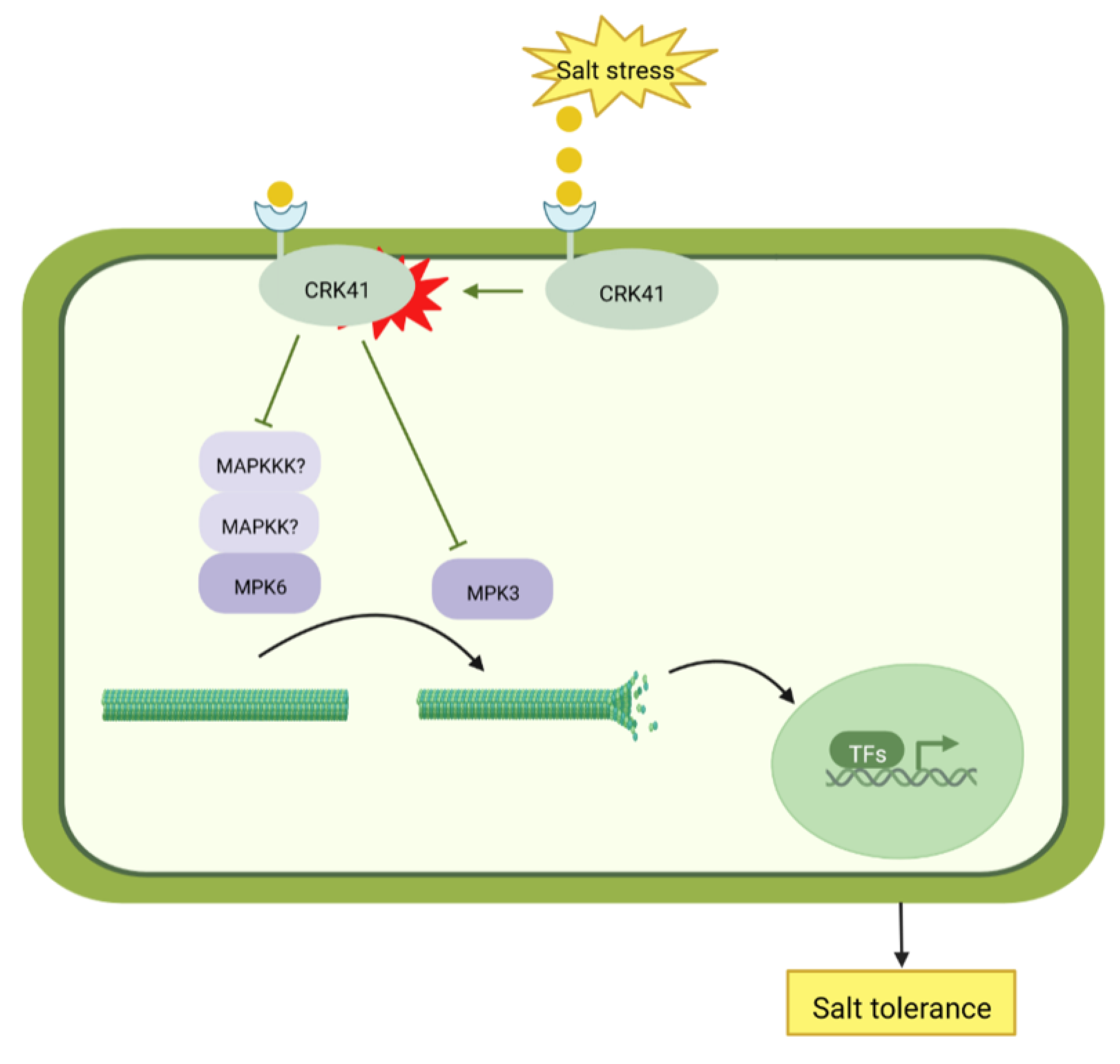 Plants 12 01285 g007
