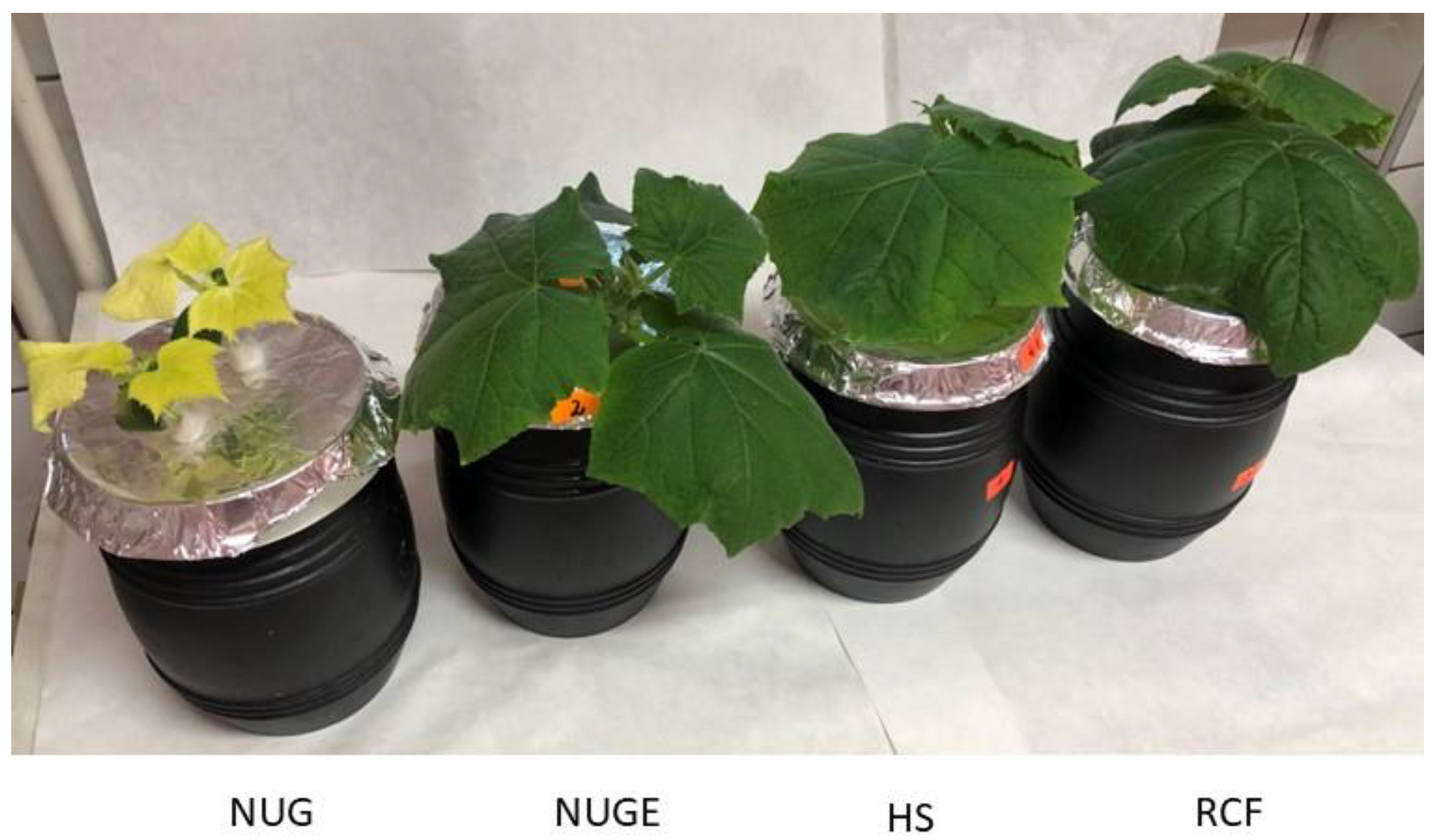 Plants 12 01286 g001 Plants 12 01286 g001