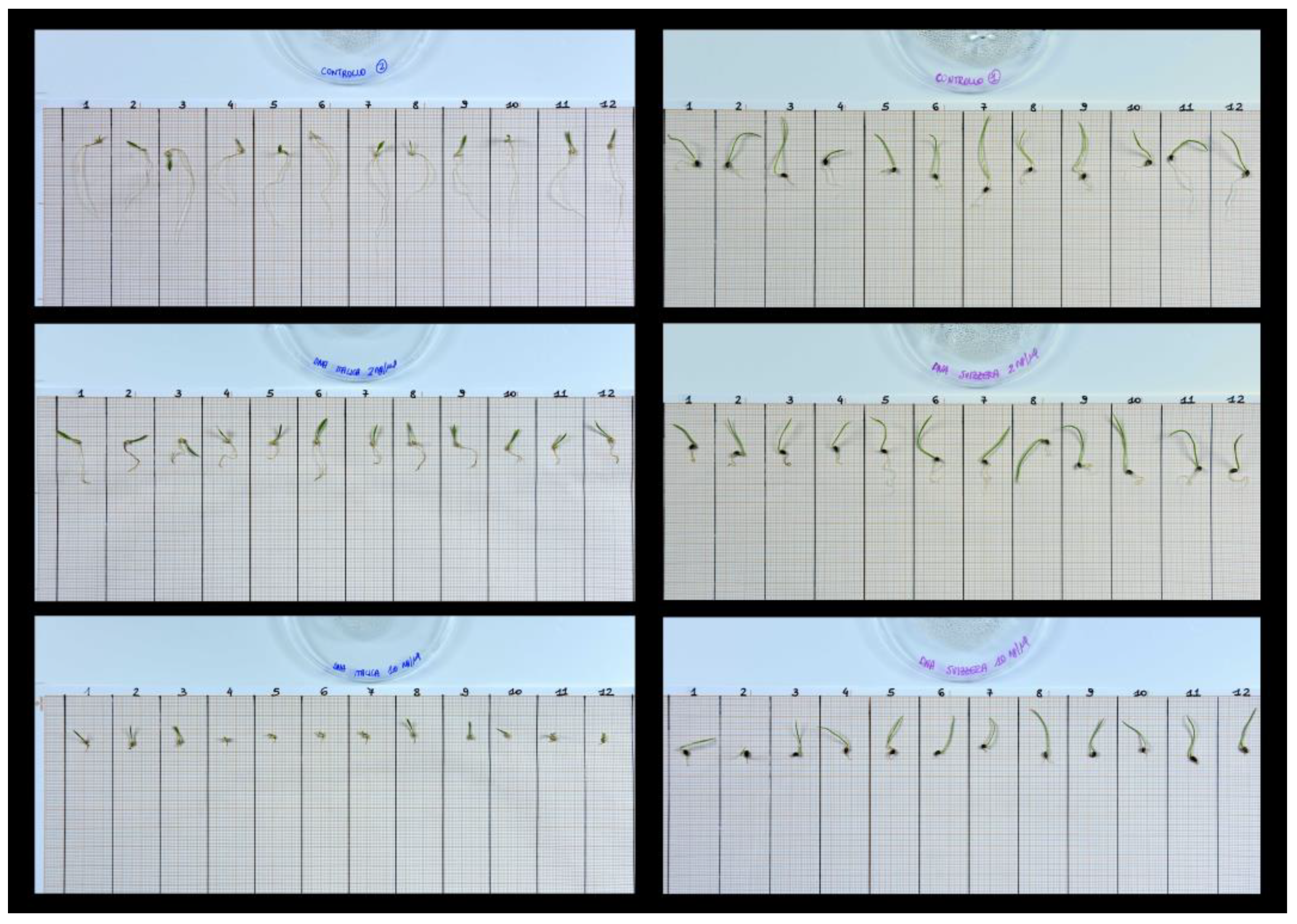 Plants 12 01288 g003