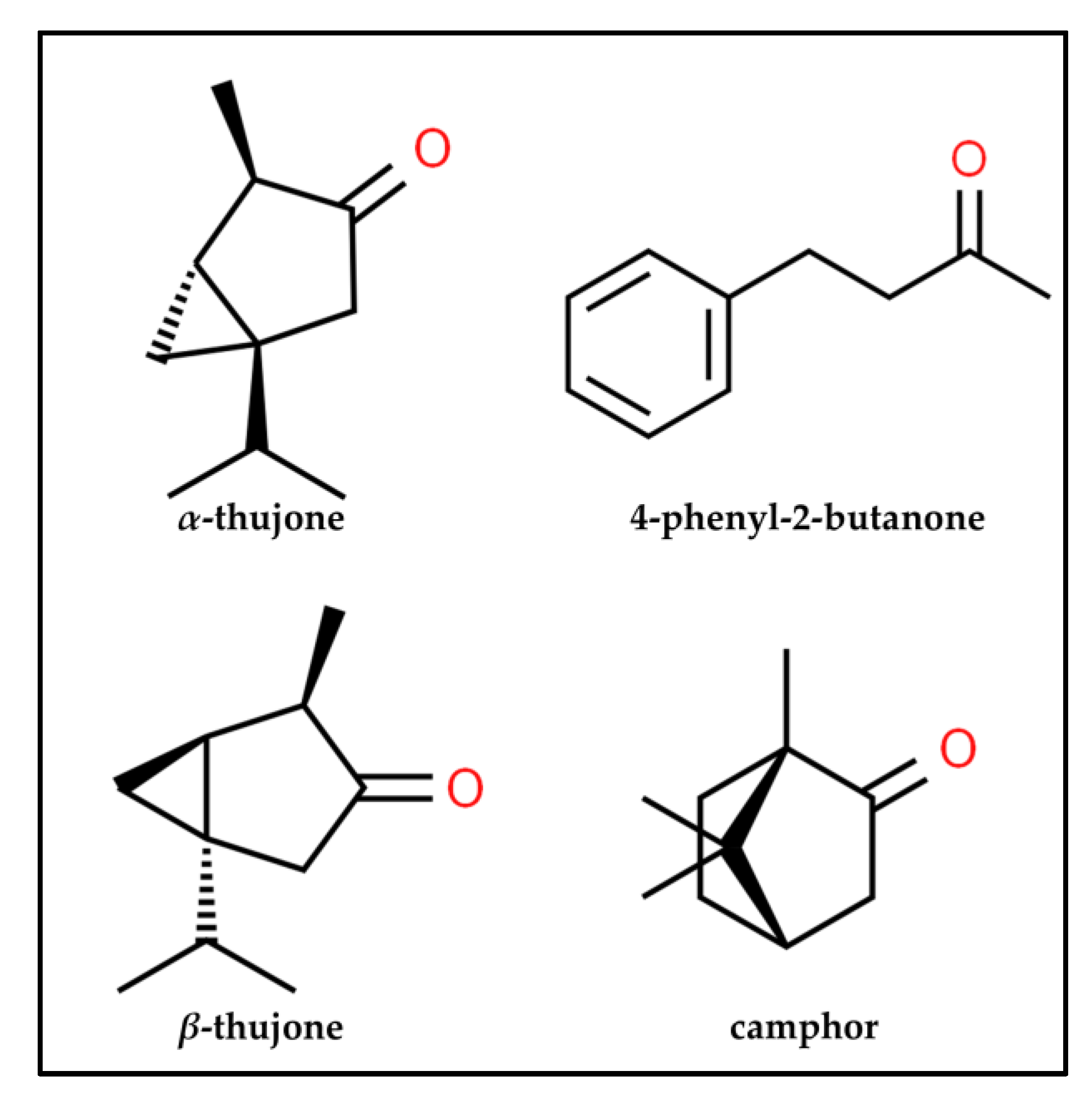 Plants 12 01289 g003