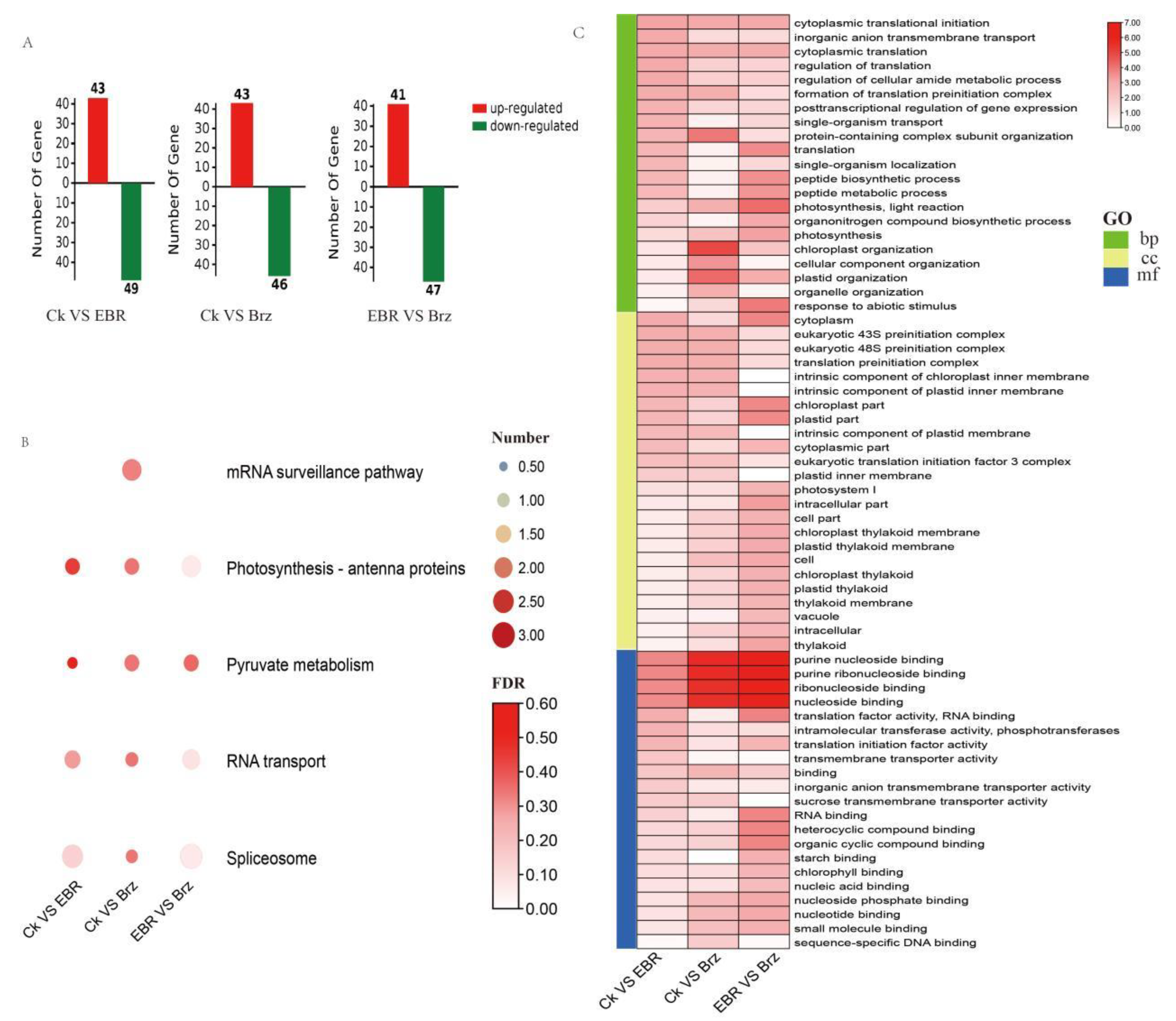 Plants 12 01290 g004 Plants 12 01290 g004