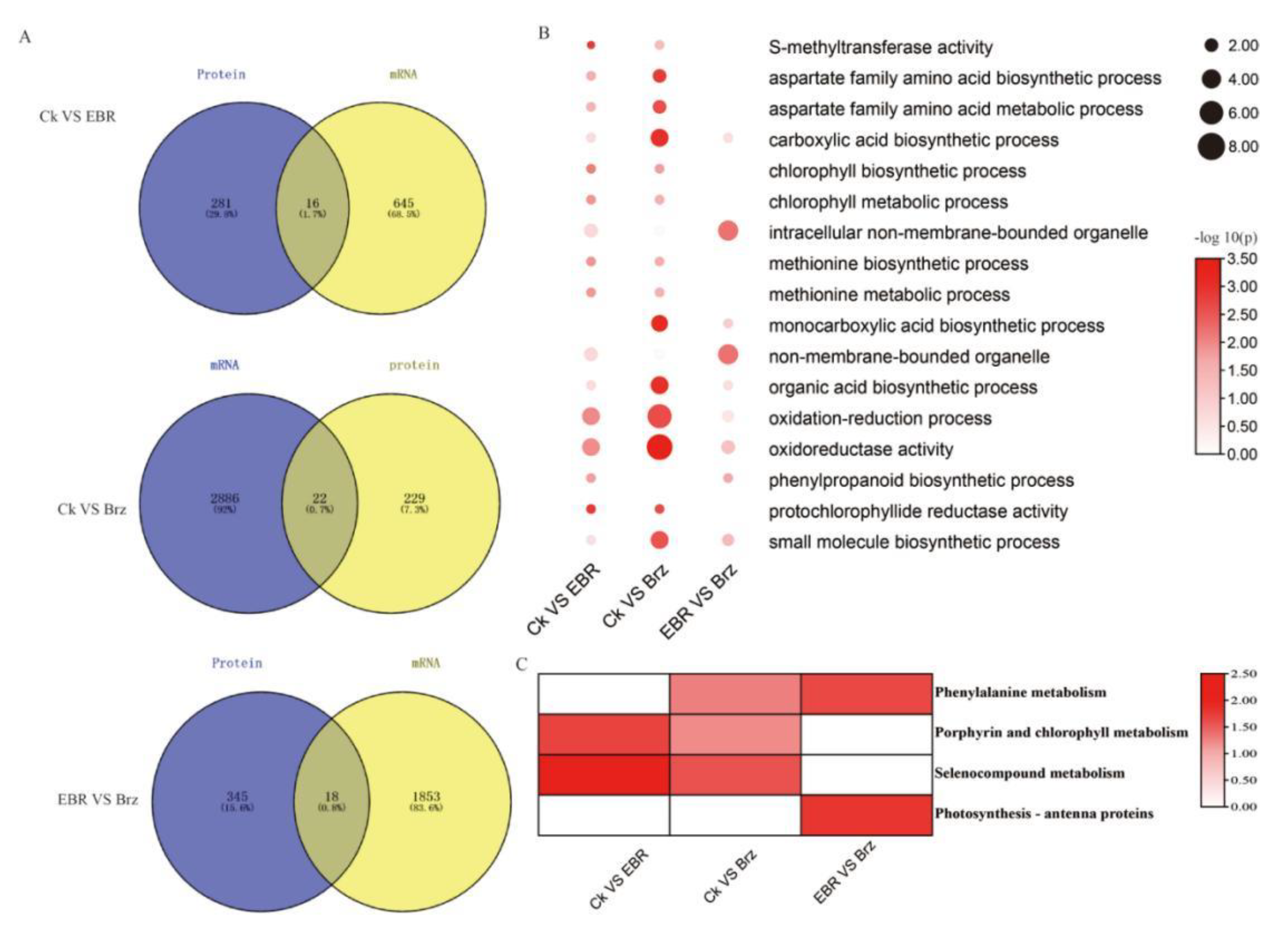 Plants 12 01290 g005 Plants 12 01290 g005