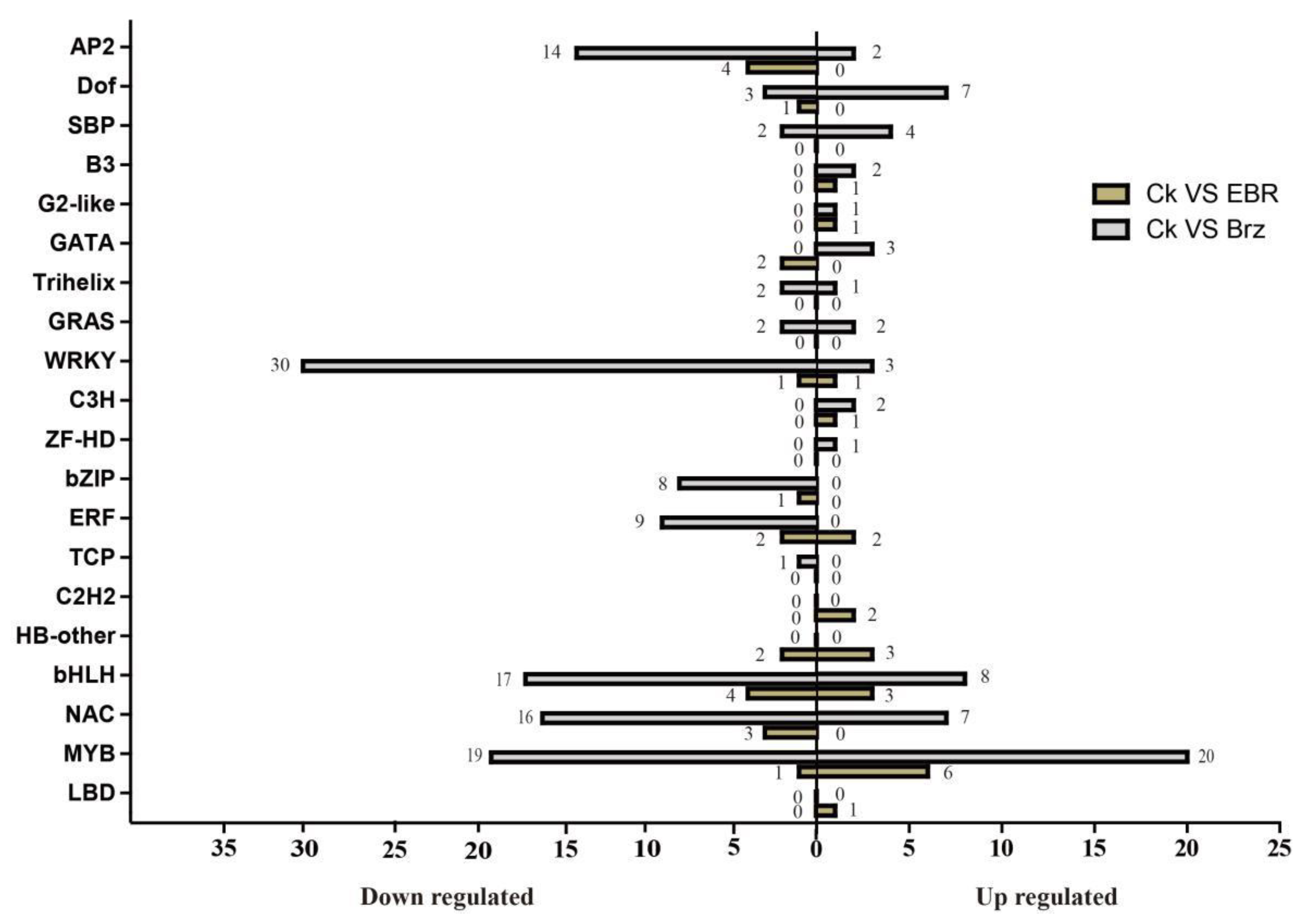 Plants 12 01290 g007 Plants 12 01290 g007