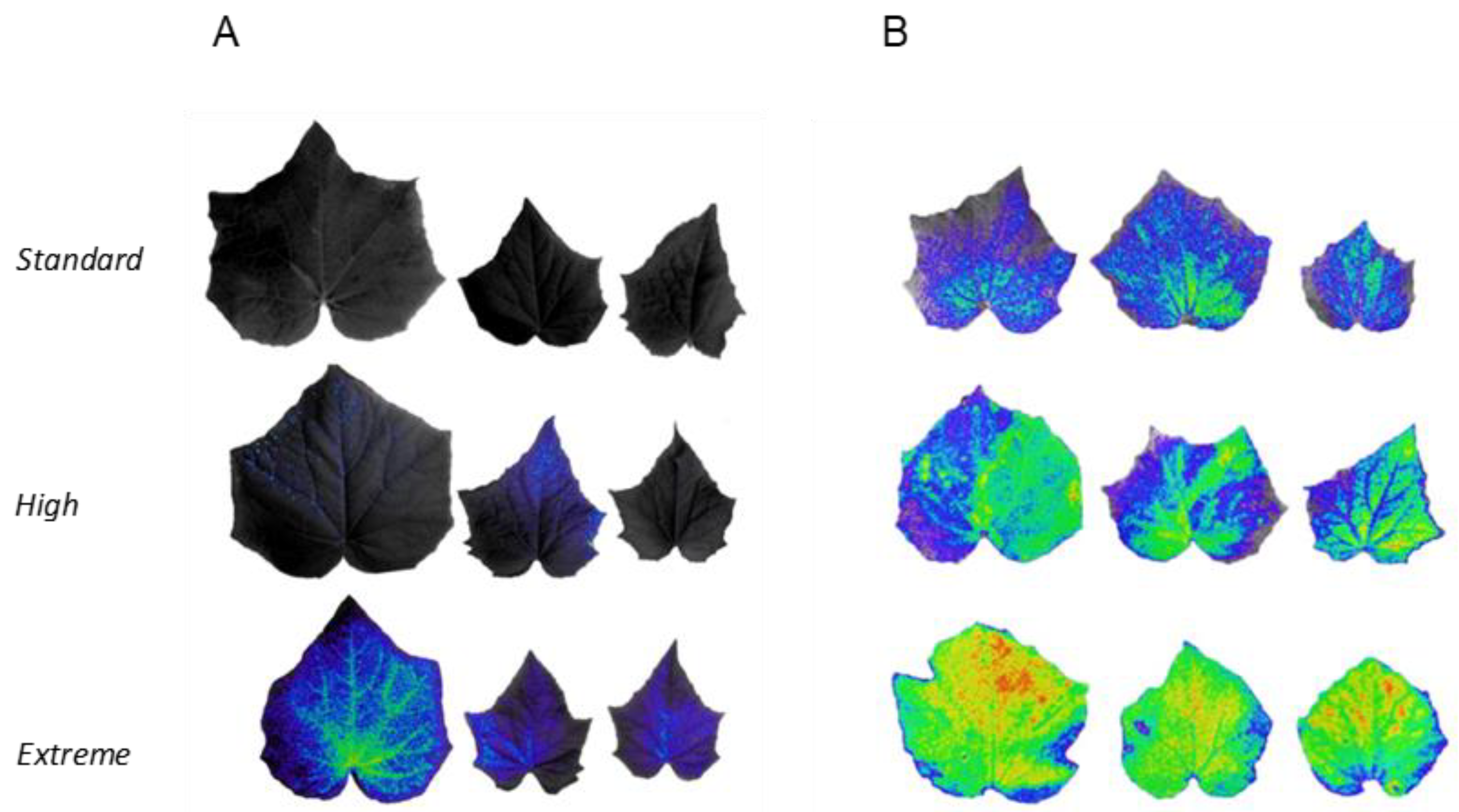 Plants 12 01292 g003 Plants 12 01292 g003