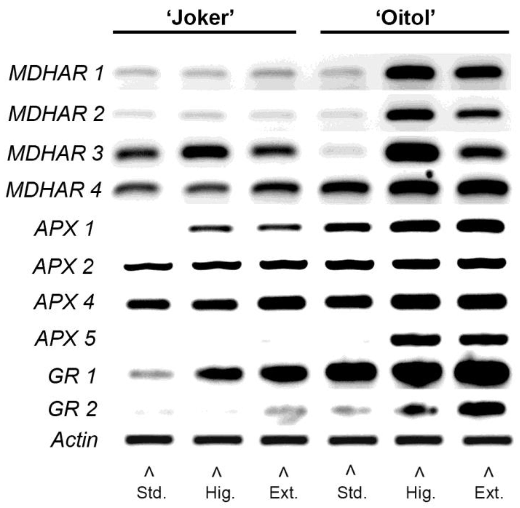 Plants 12 01292 g005 Plants 12 01292 g005