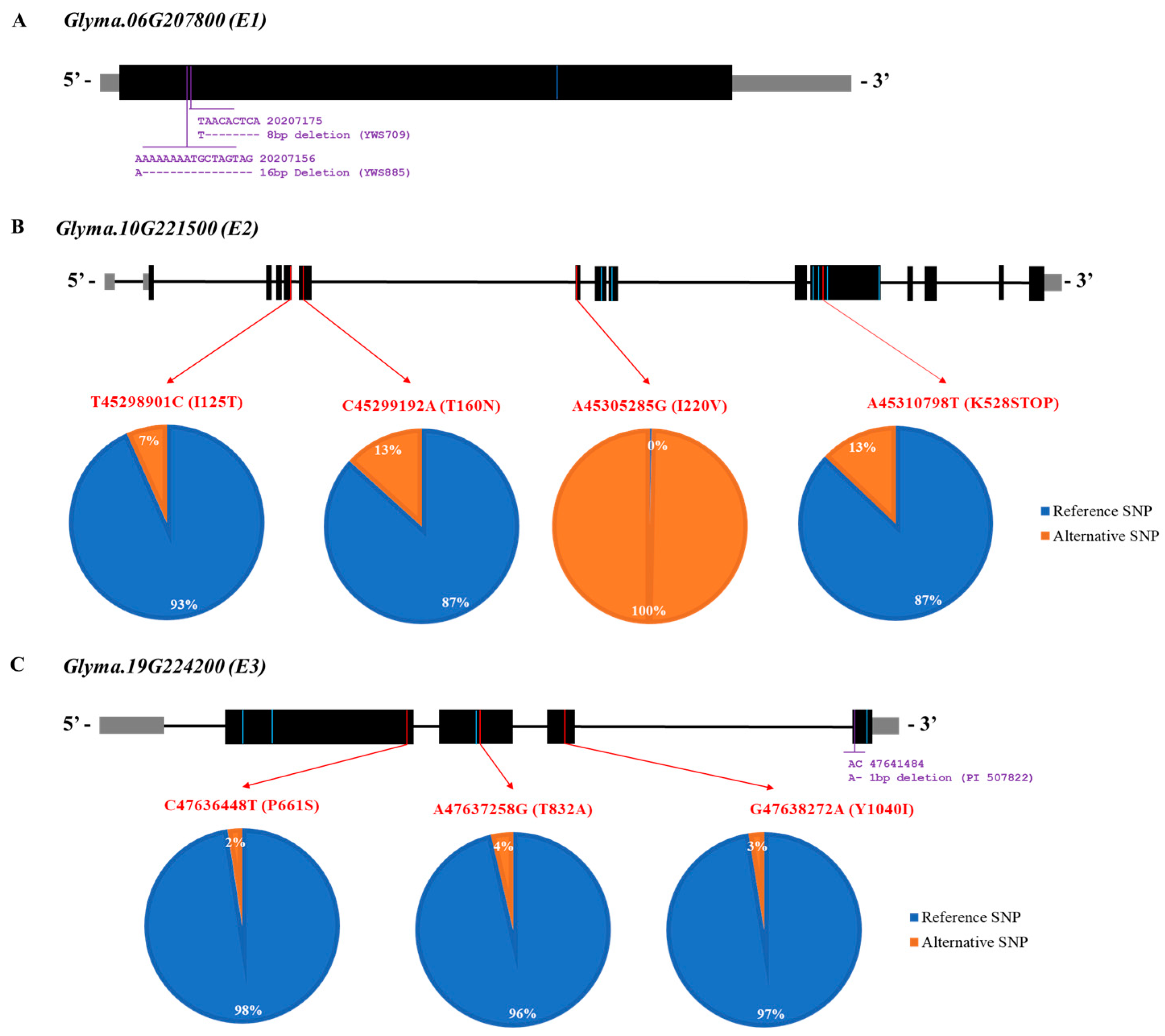 Plants 12 01305 g006