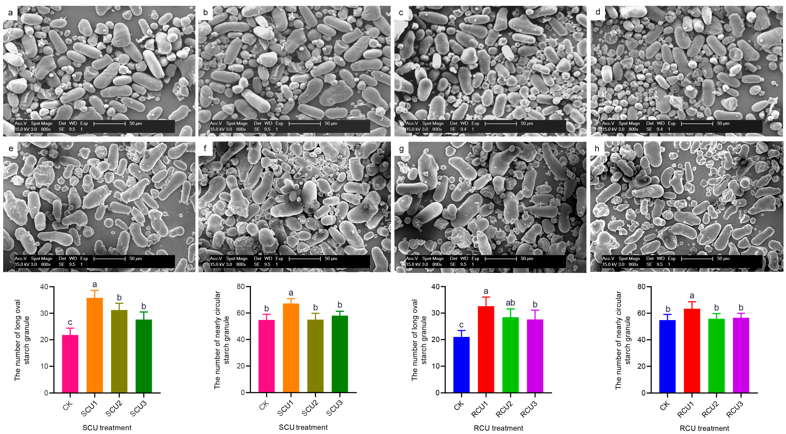 Plants 12 01311 g004 Plants 12 01311 g004