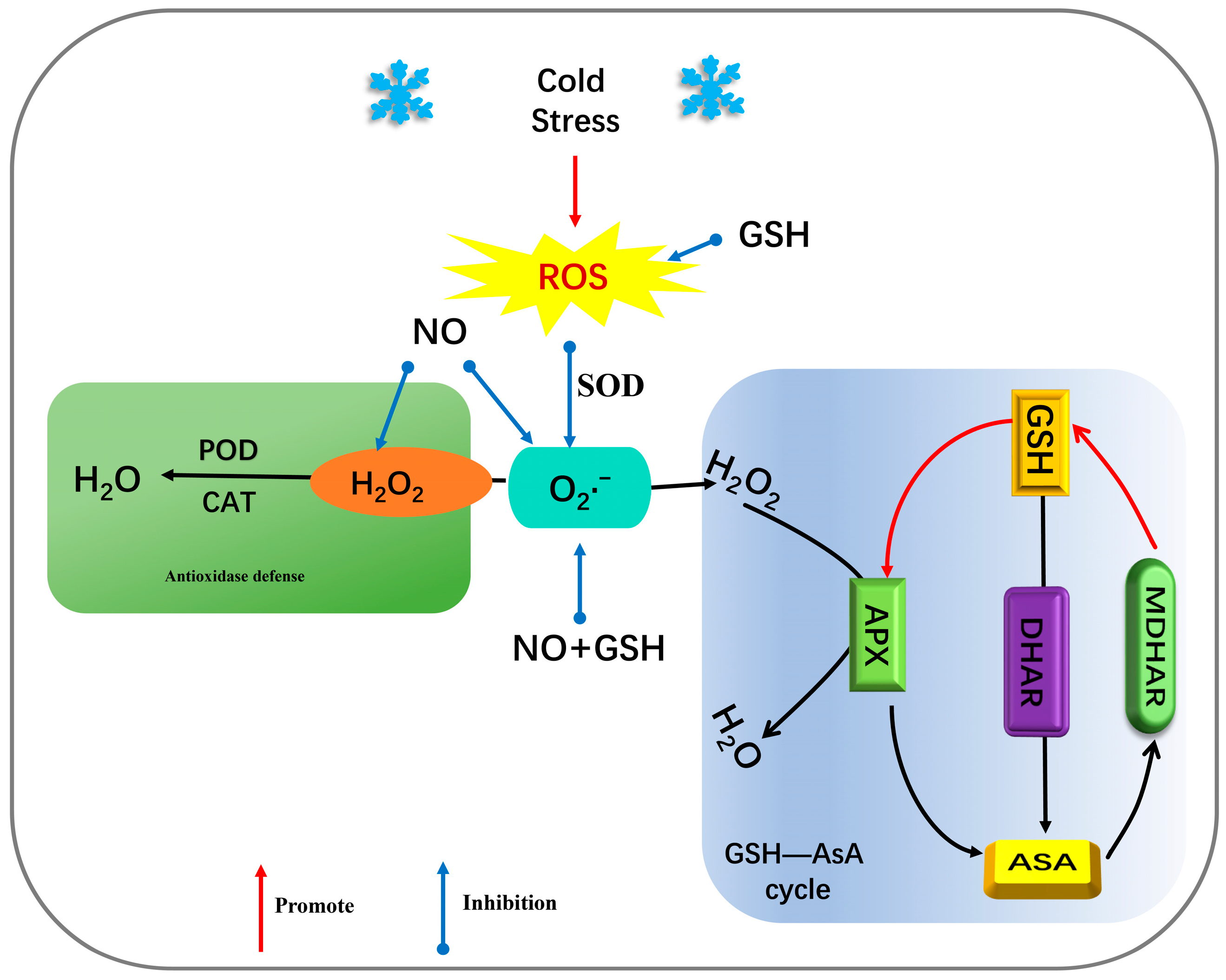 Plants 12 01317 g008