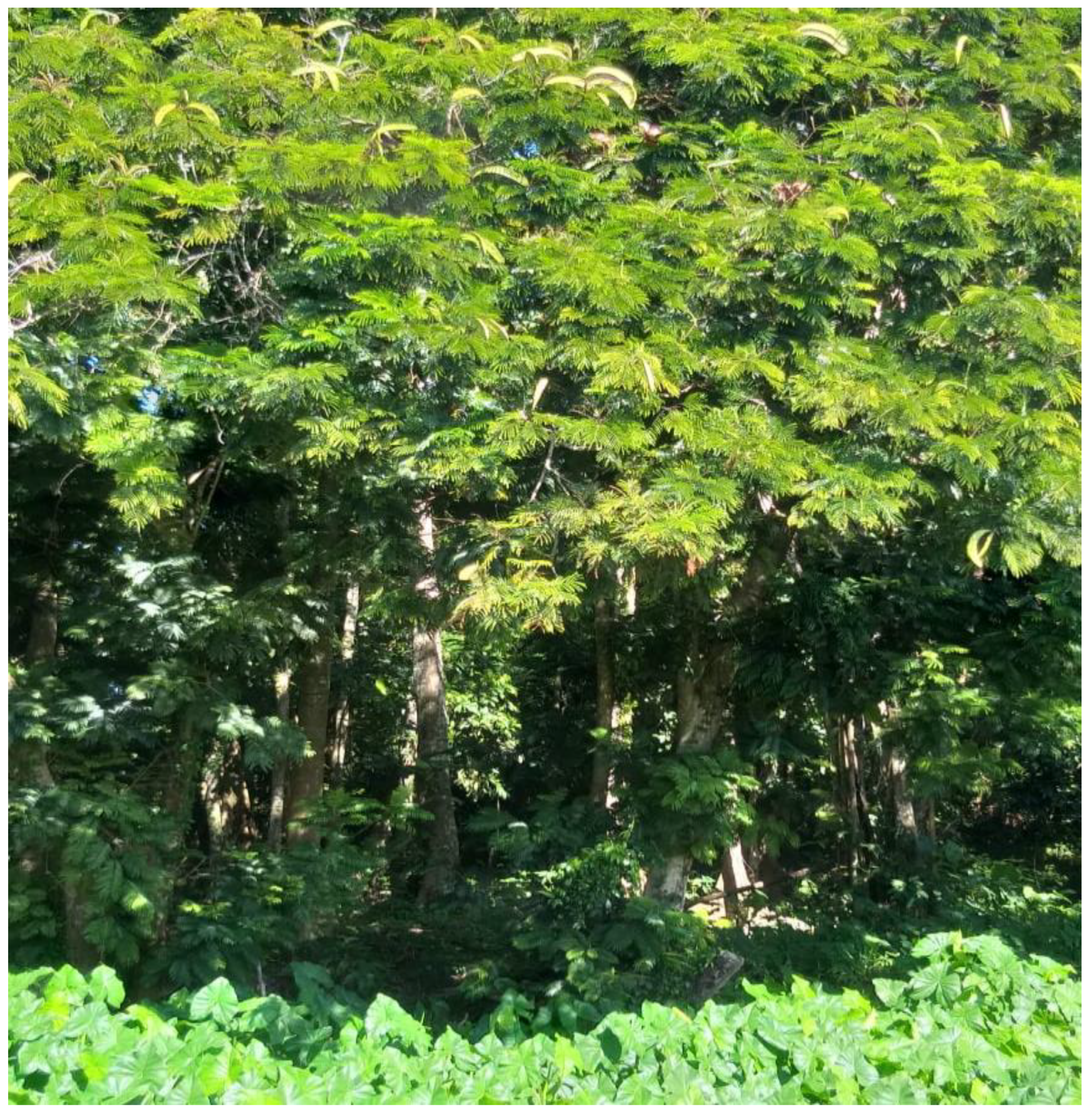 Plants 12 01330 g002