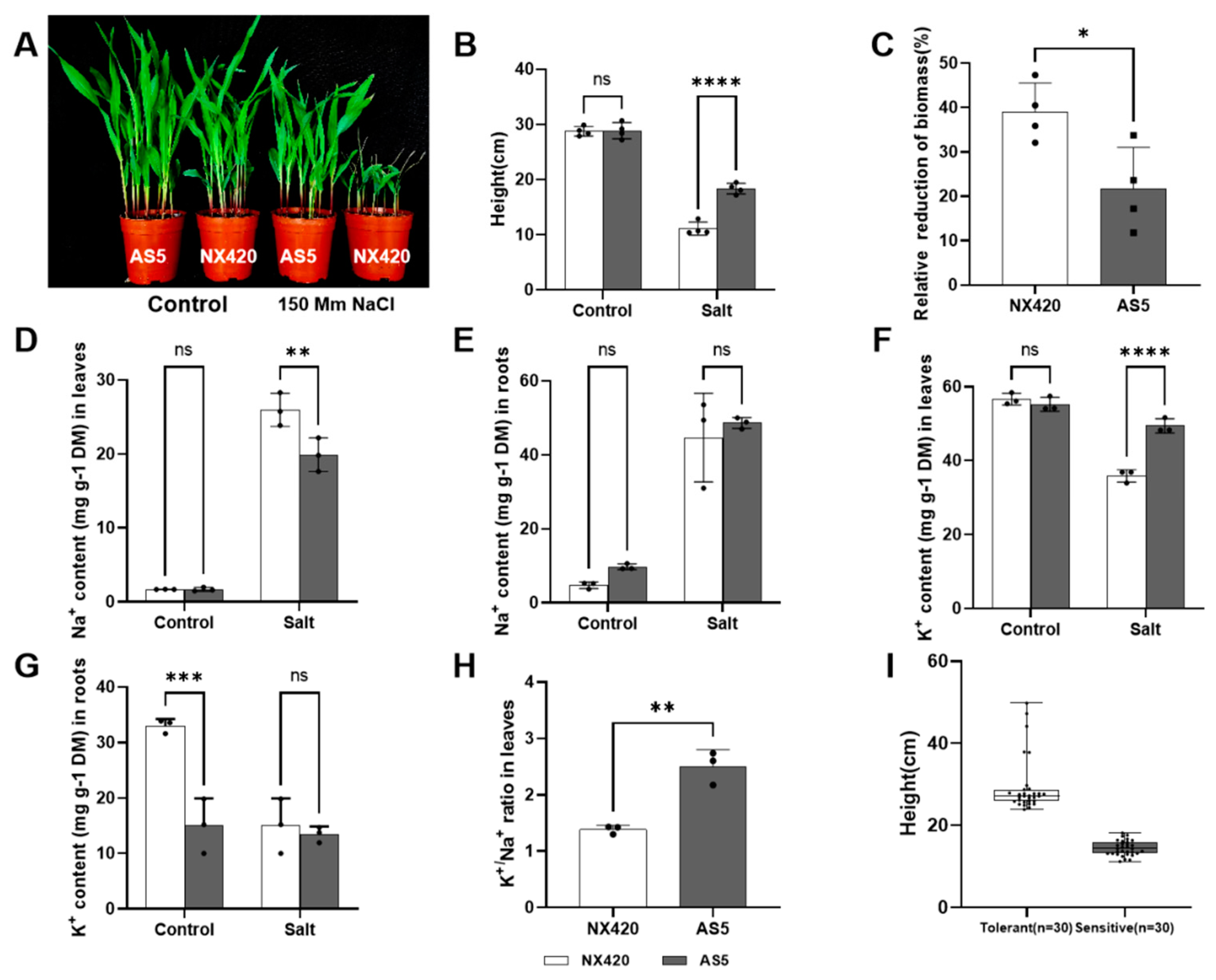 Plants 12 01331 g001