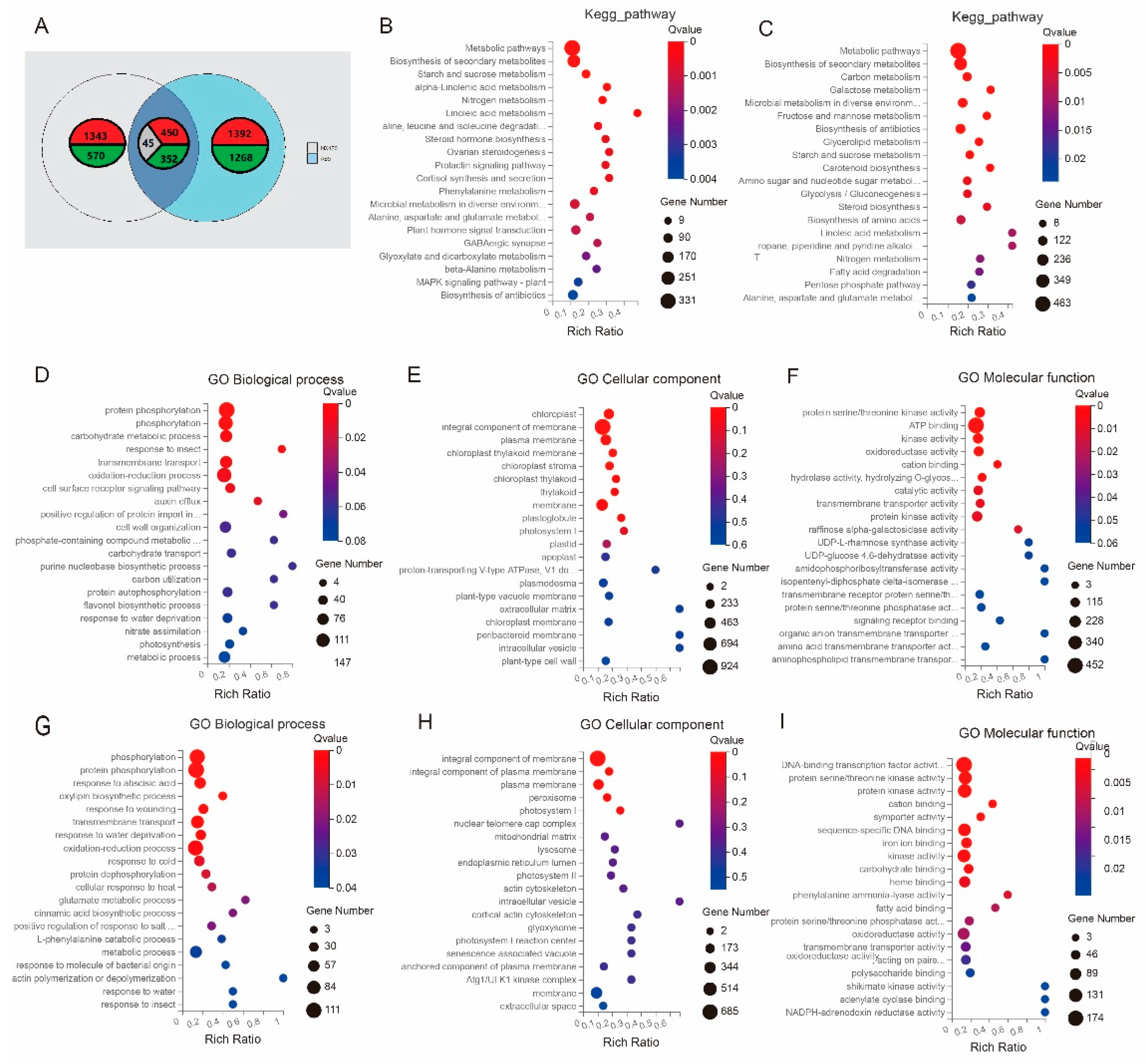 Plants 12 01331 g003