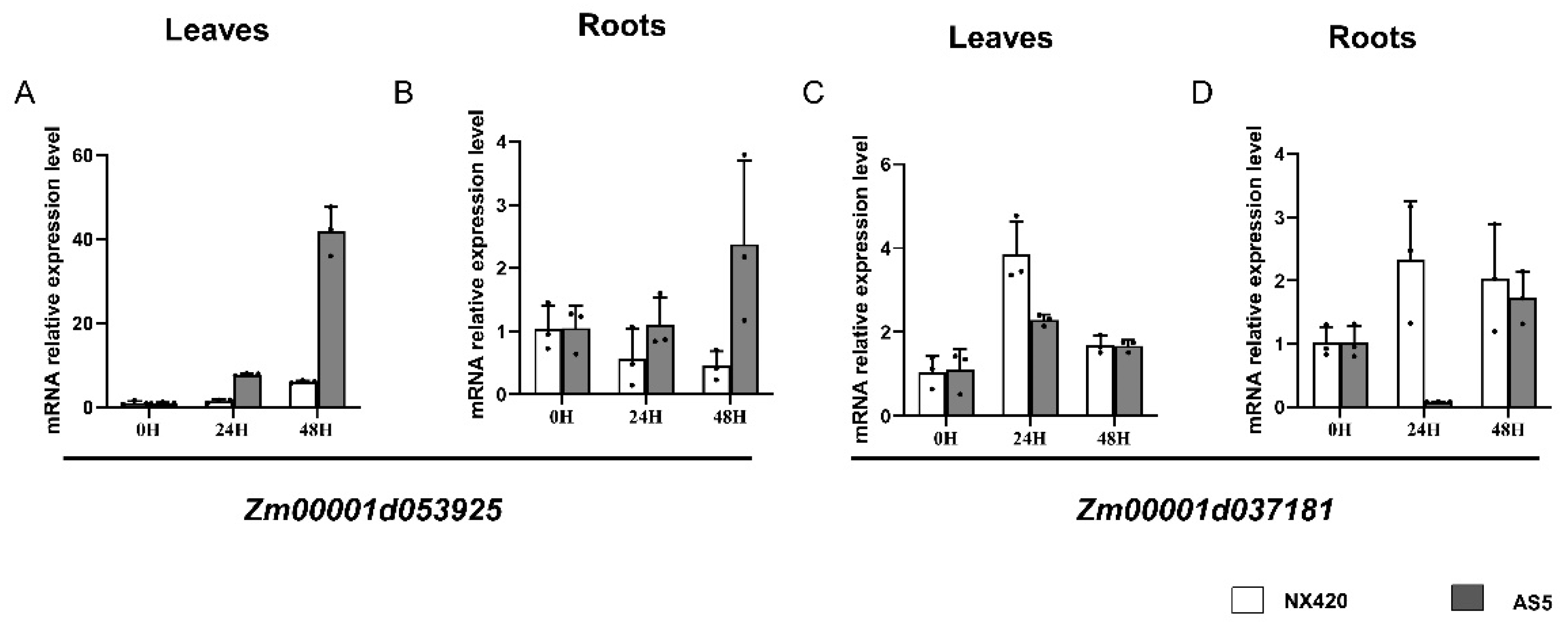 Plants 12 01331 g004