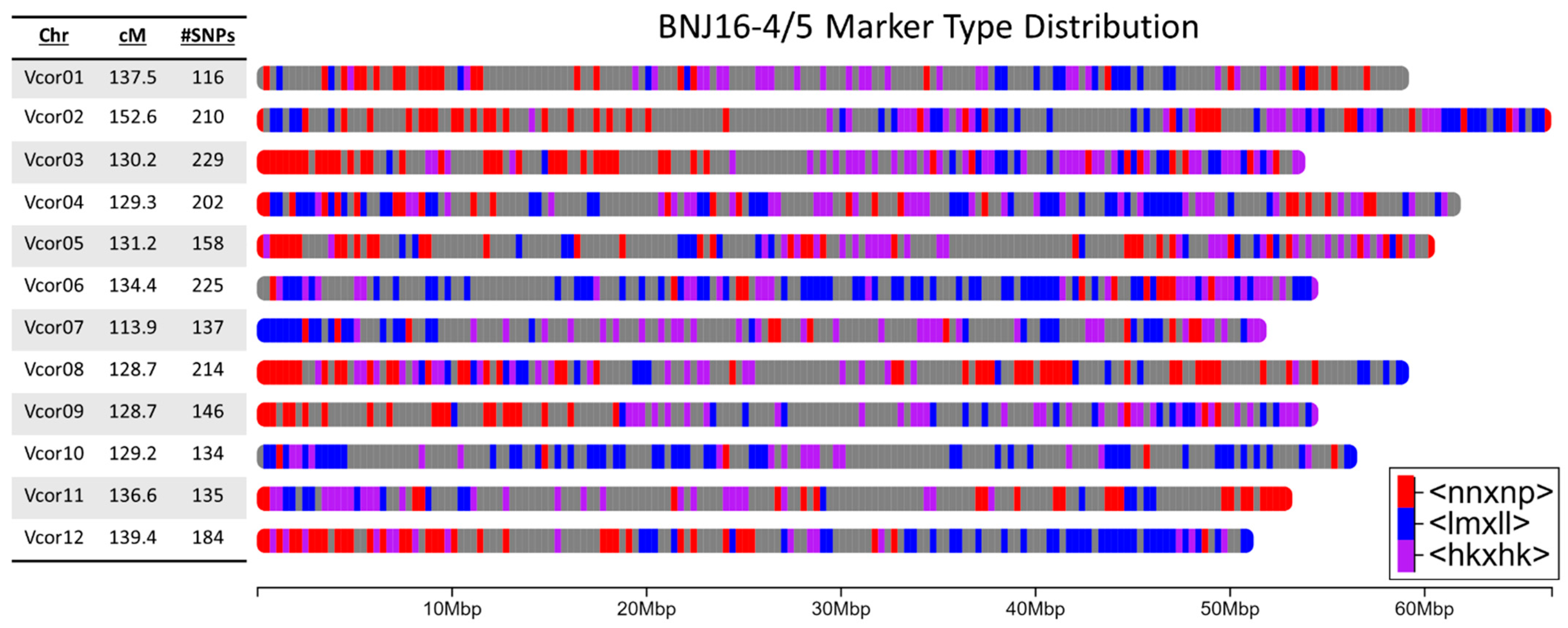 Plants 12 01346 g004