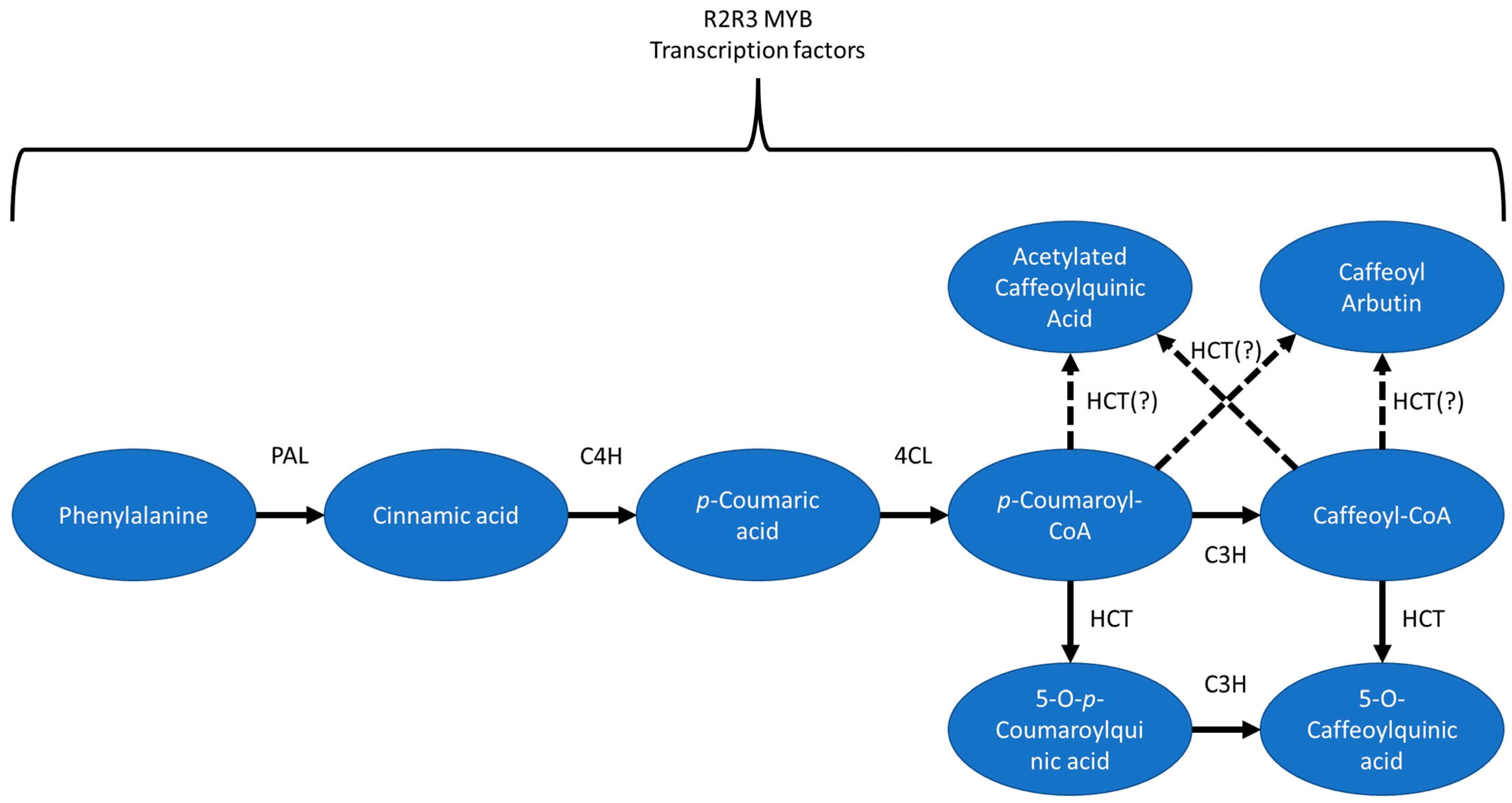 Plants 12 01346 g006