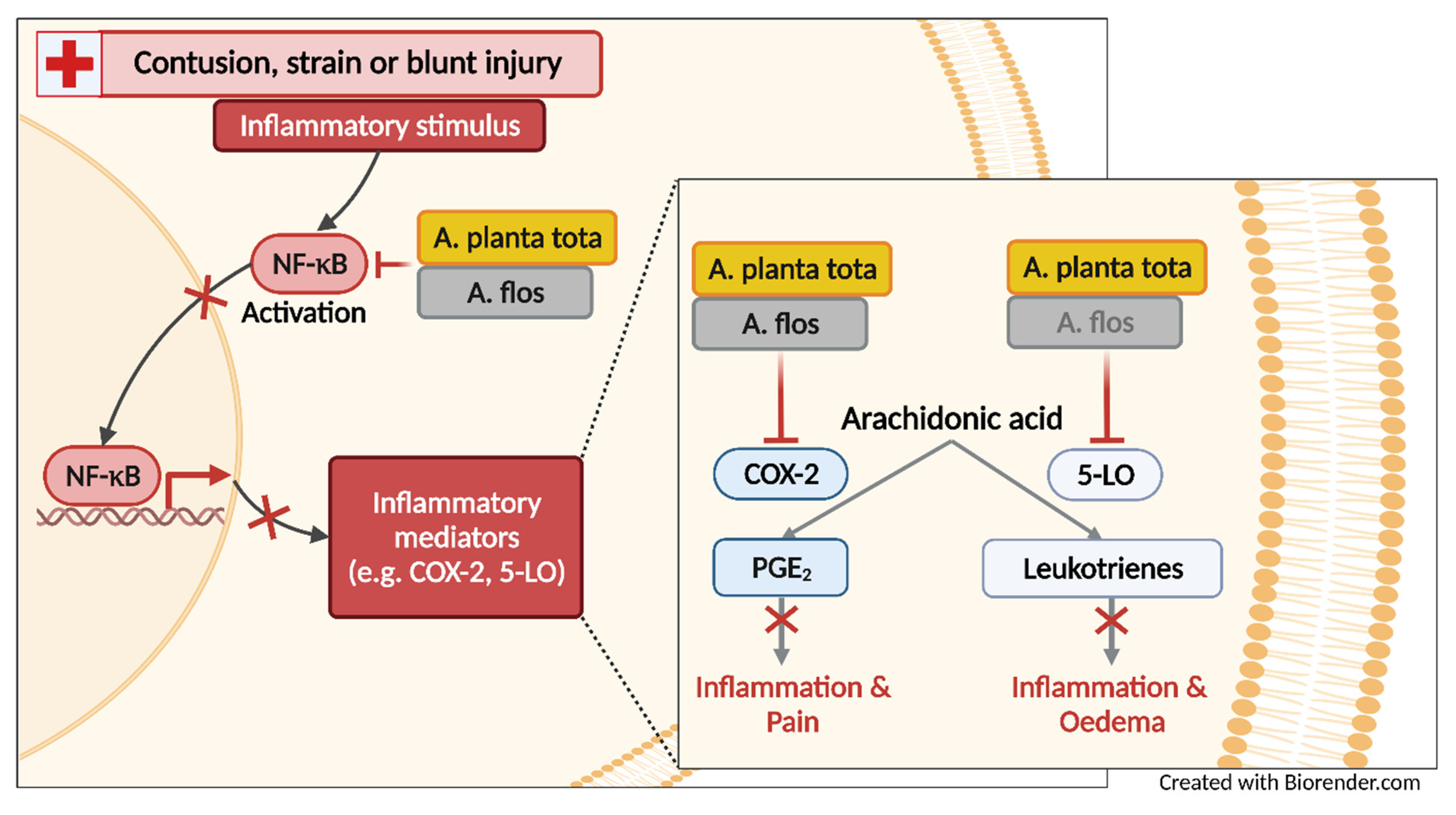 Plants 12 01348 g007