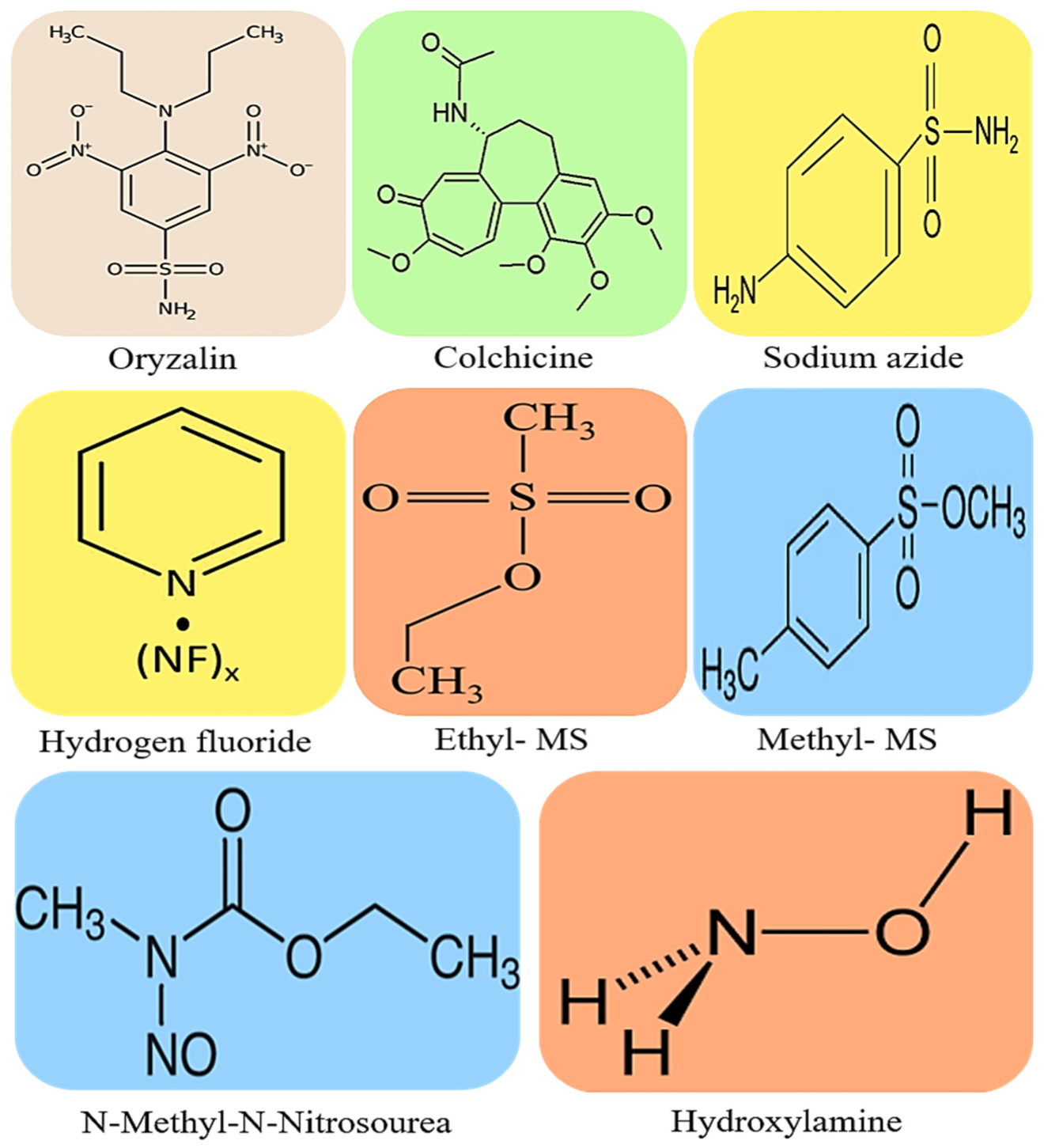 Plants 12 01356 g001