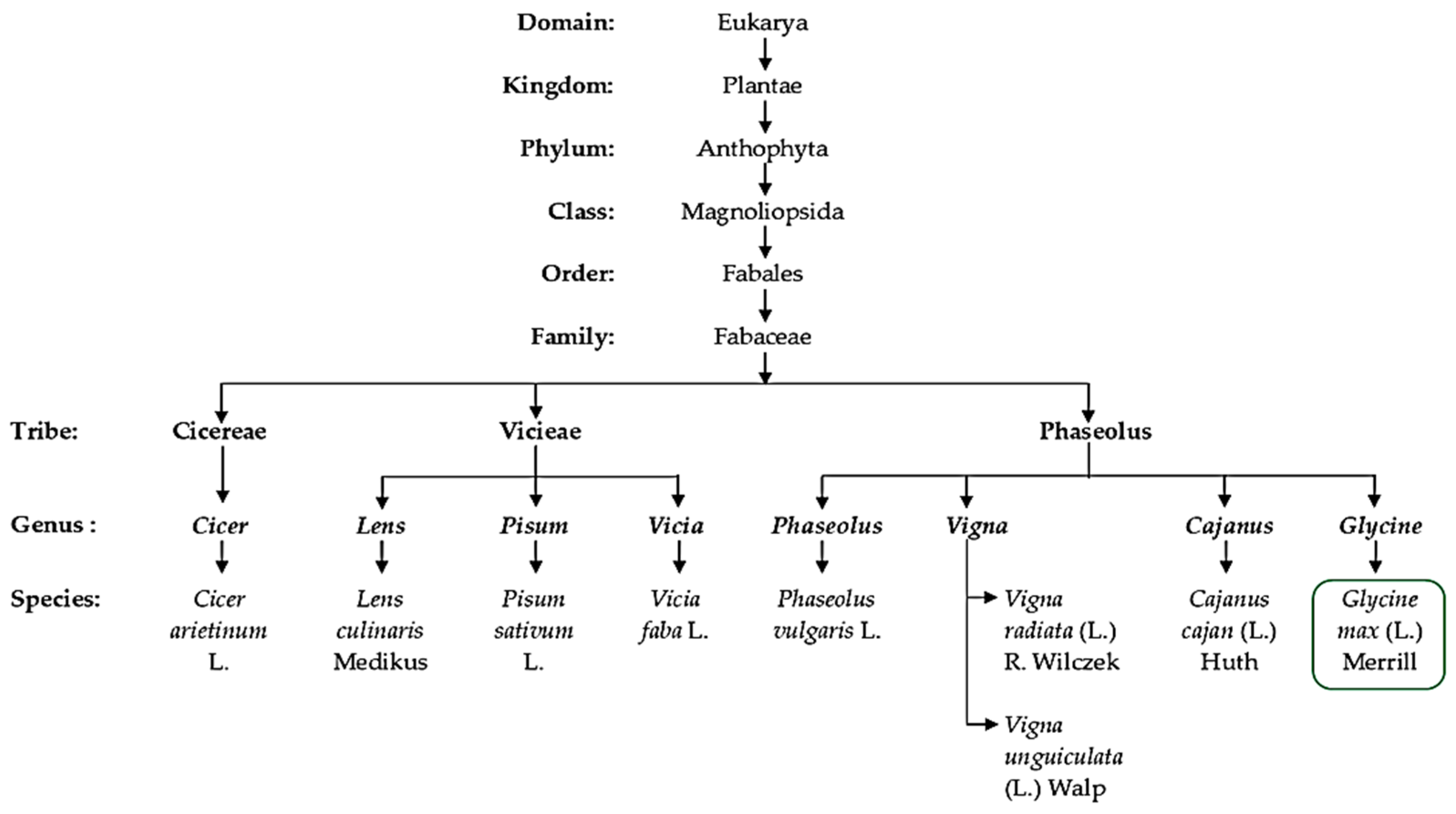 Plants 12 01356 g002