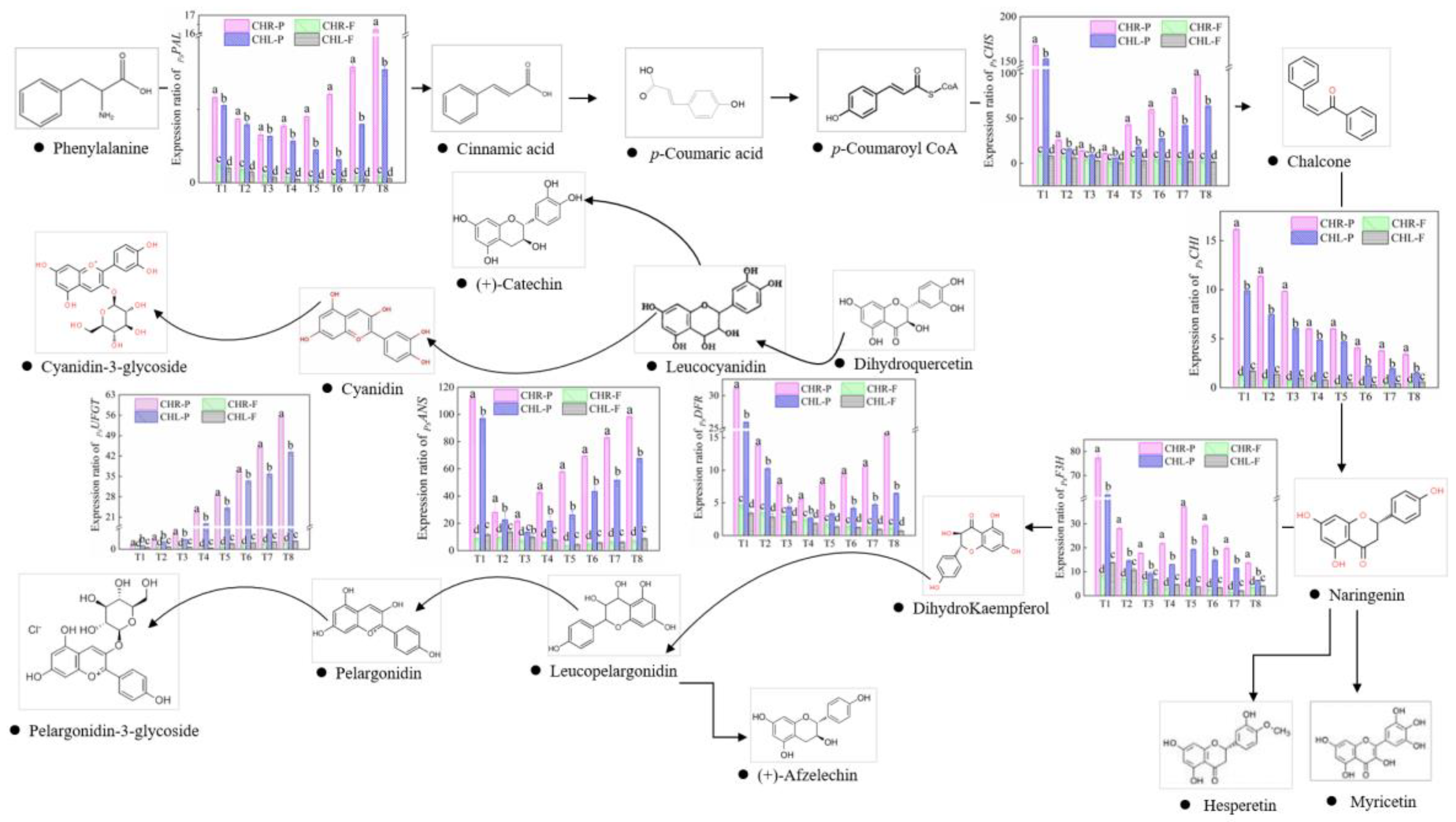 Plants 12 01357 g006 Plants 12 01357 g006