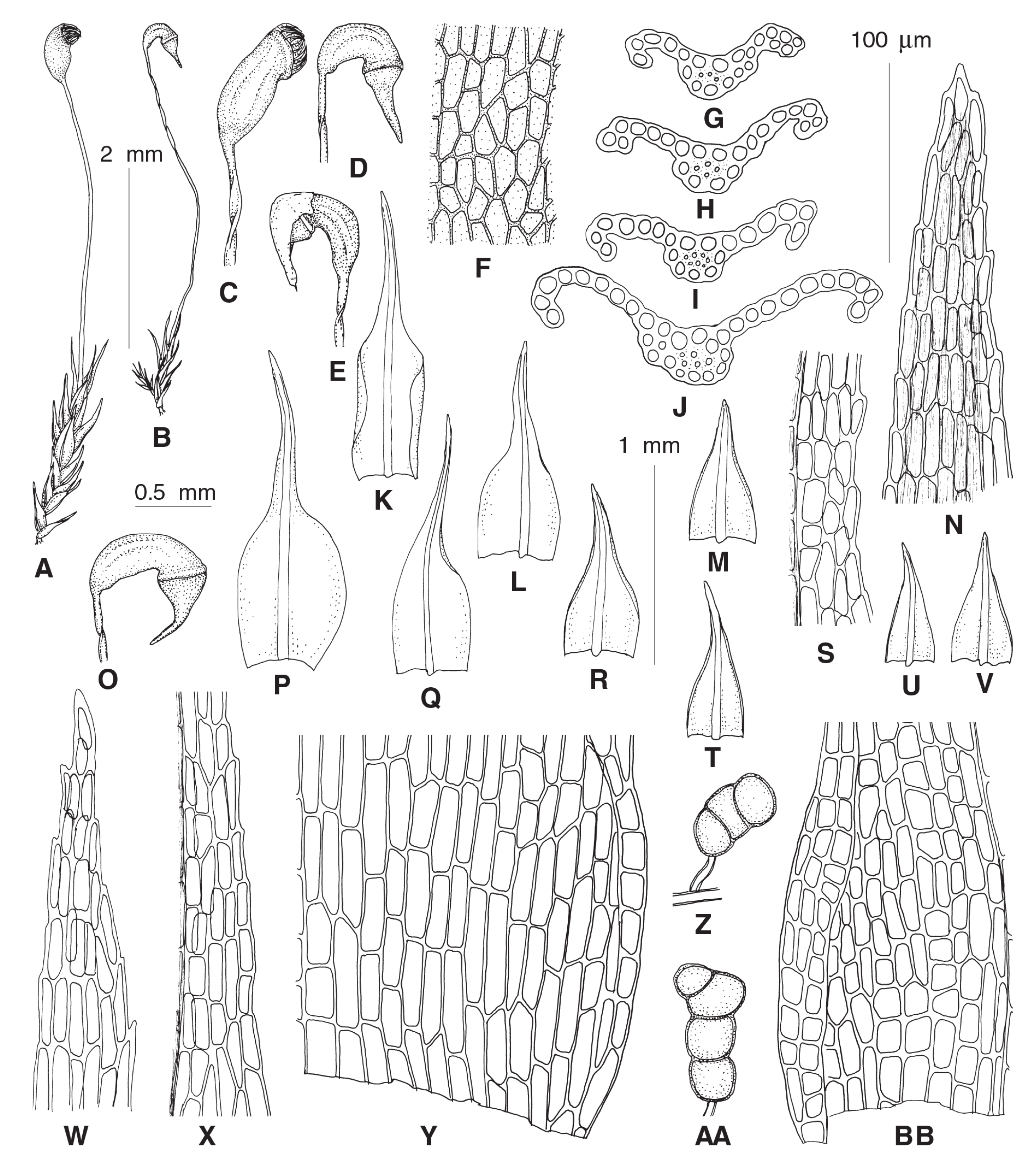 Plants 12 01360 g003