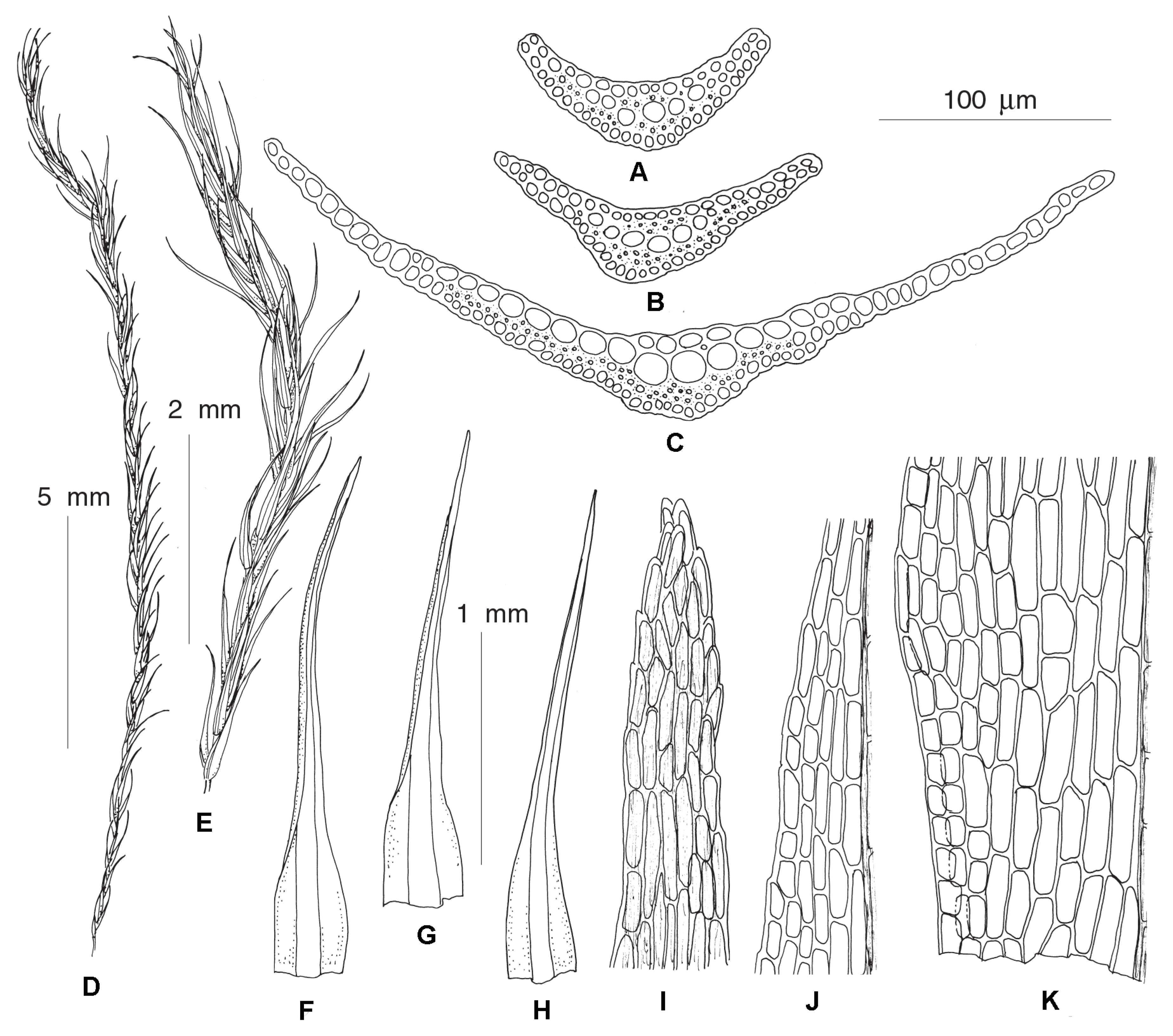 Plants 12 01360 g004