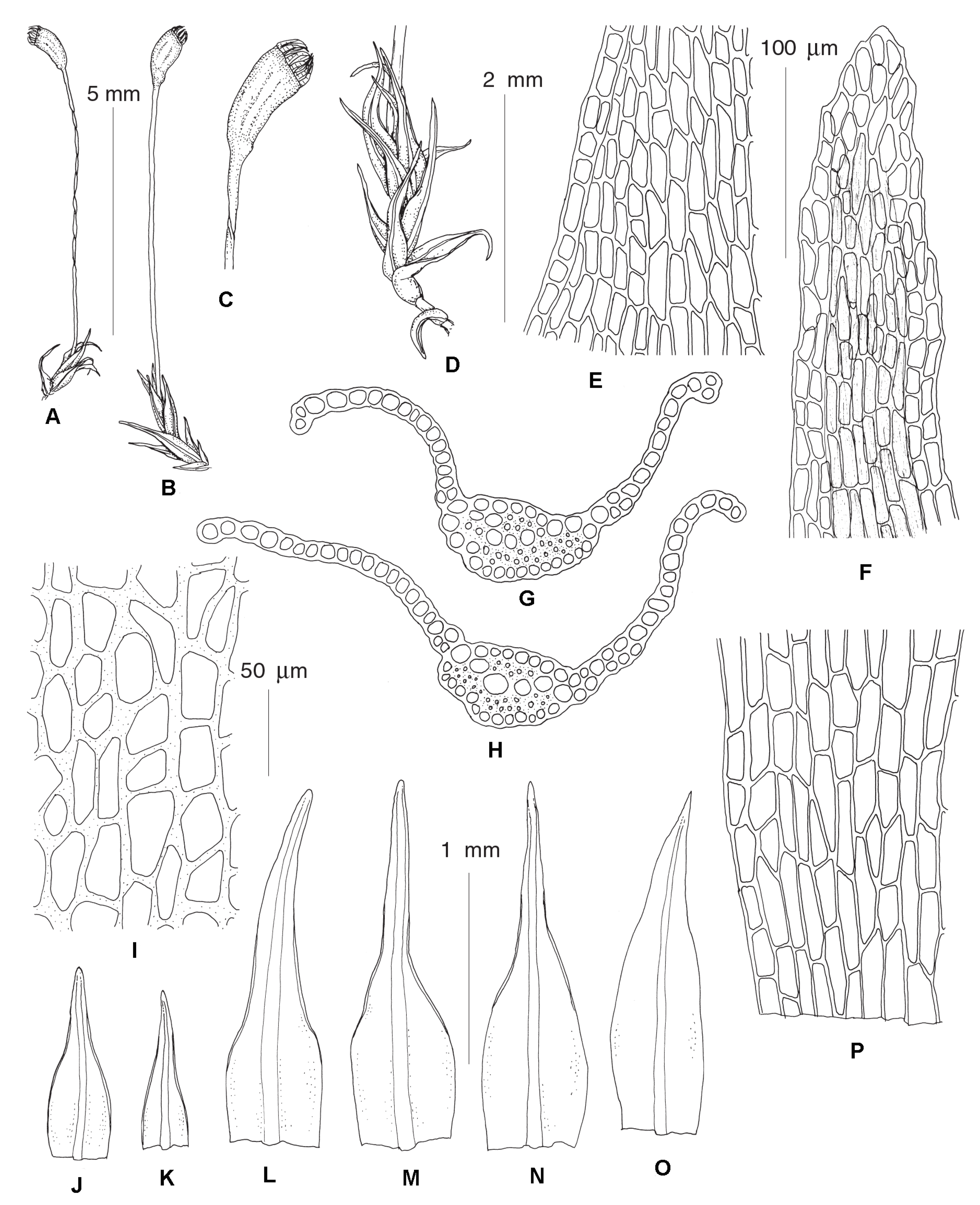 Plants 12 01360 g005