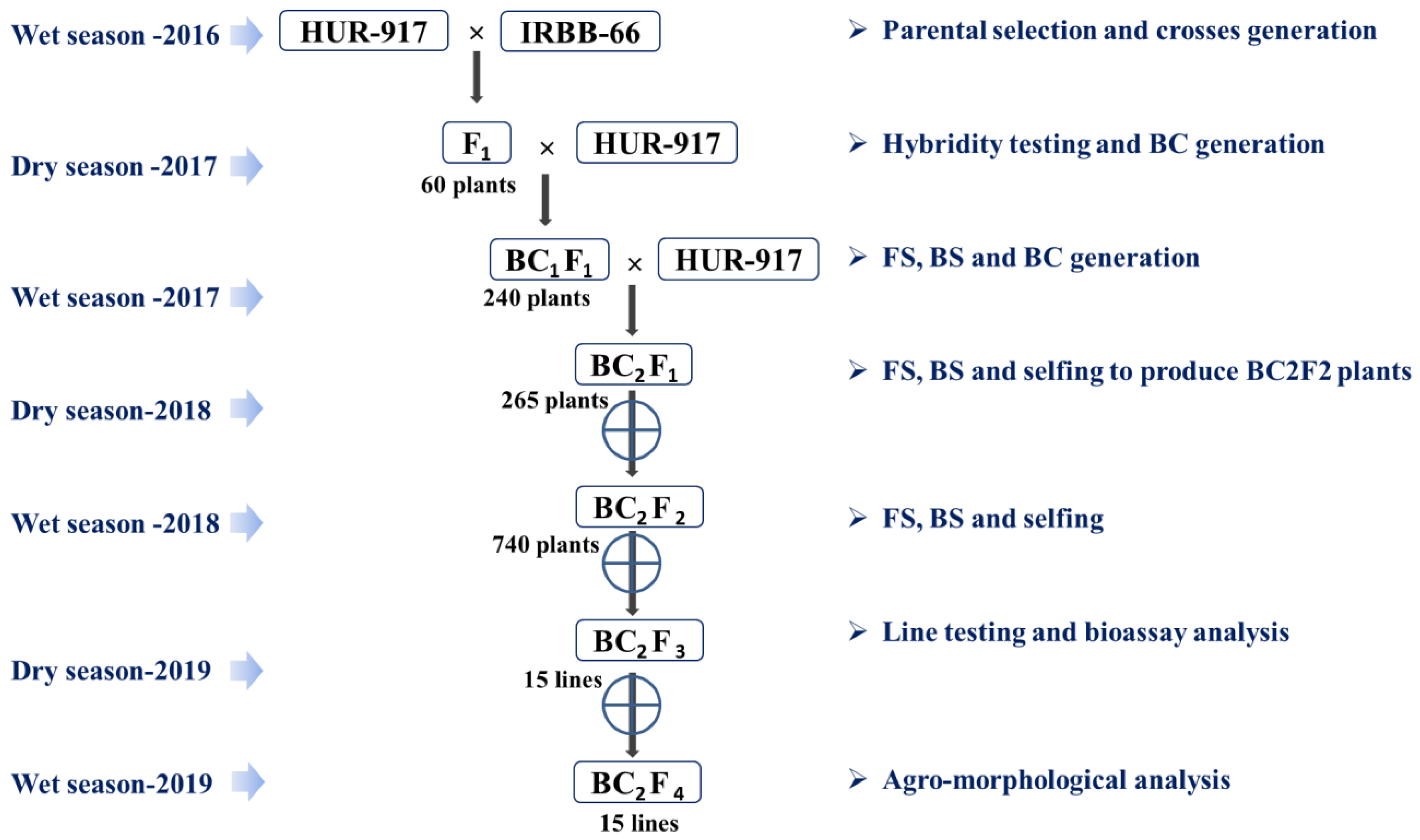 Plants 12 01363 g001