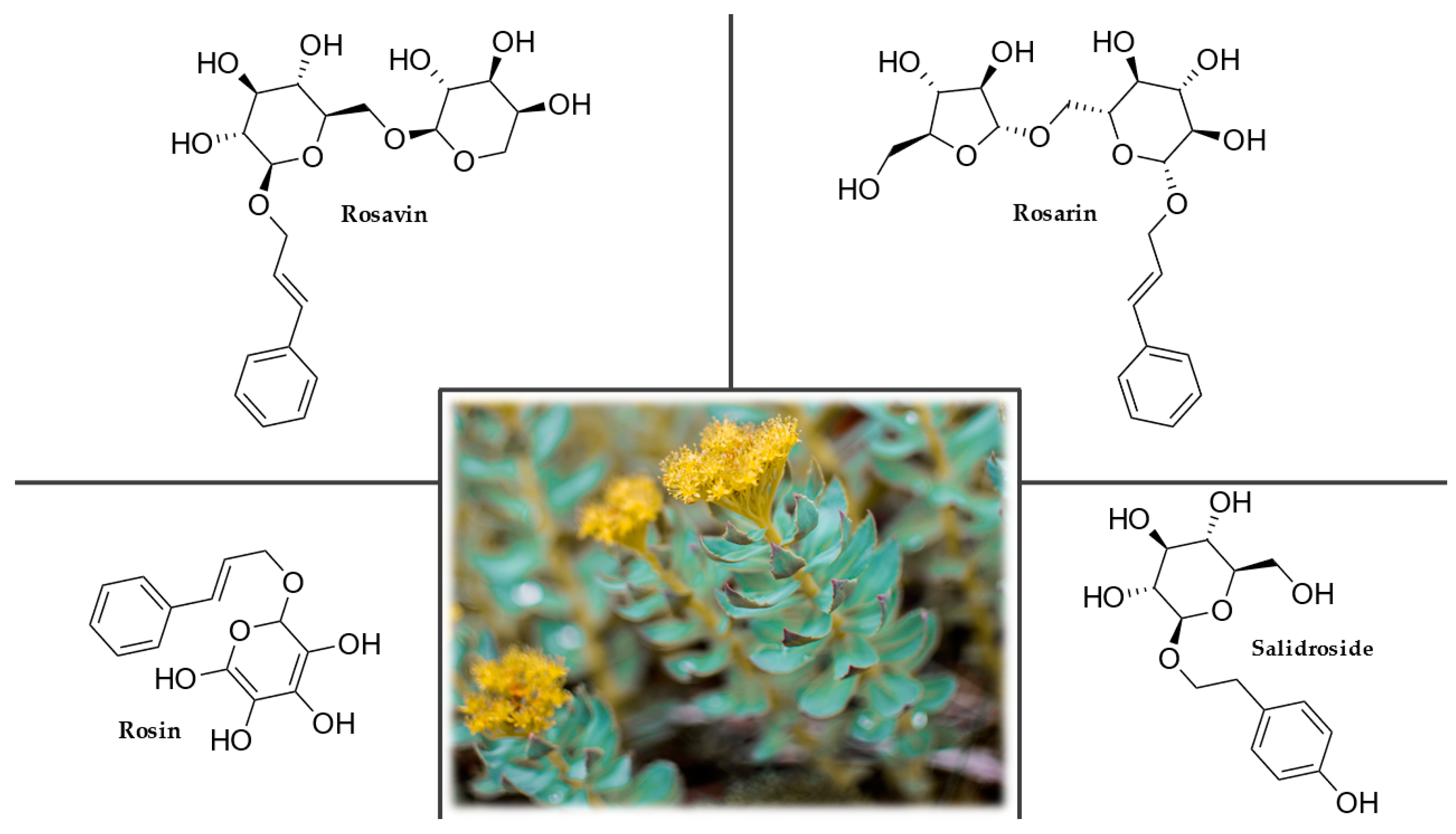 Plants 12 01364 g008 Plants 12 01364 g008