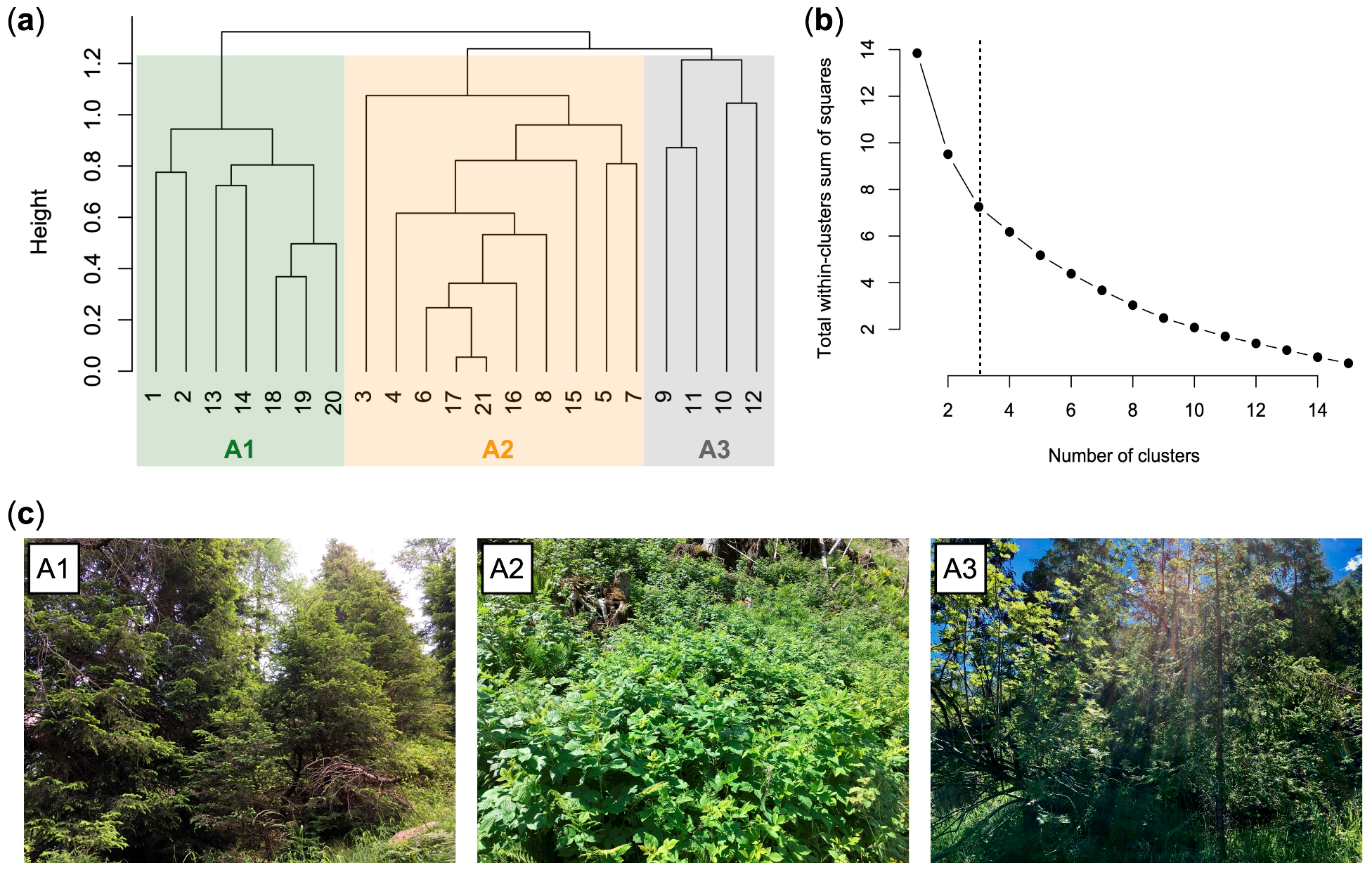 Plants 12 01369 g004
