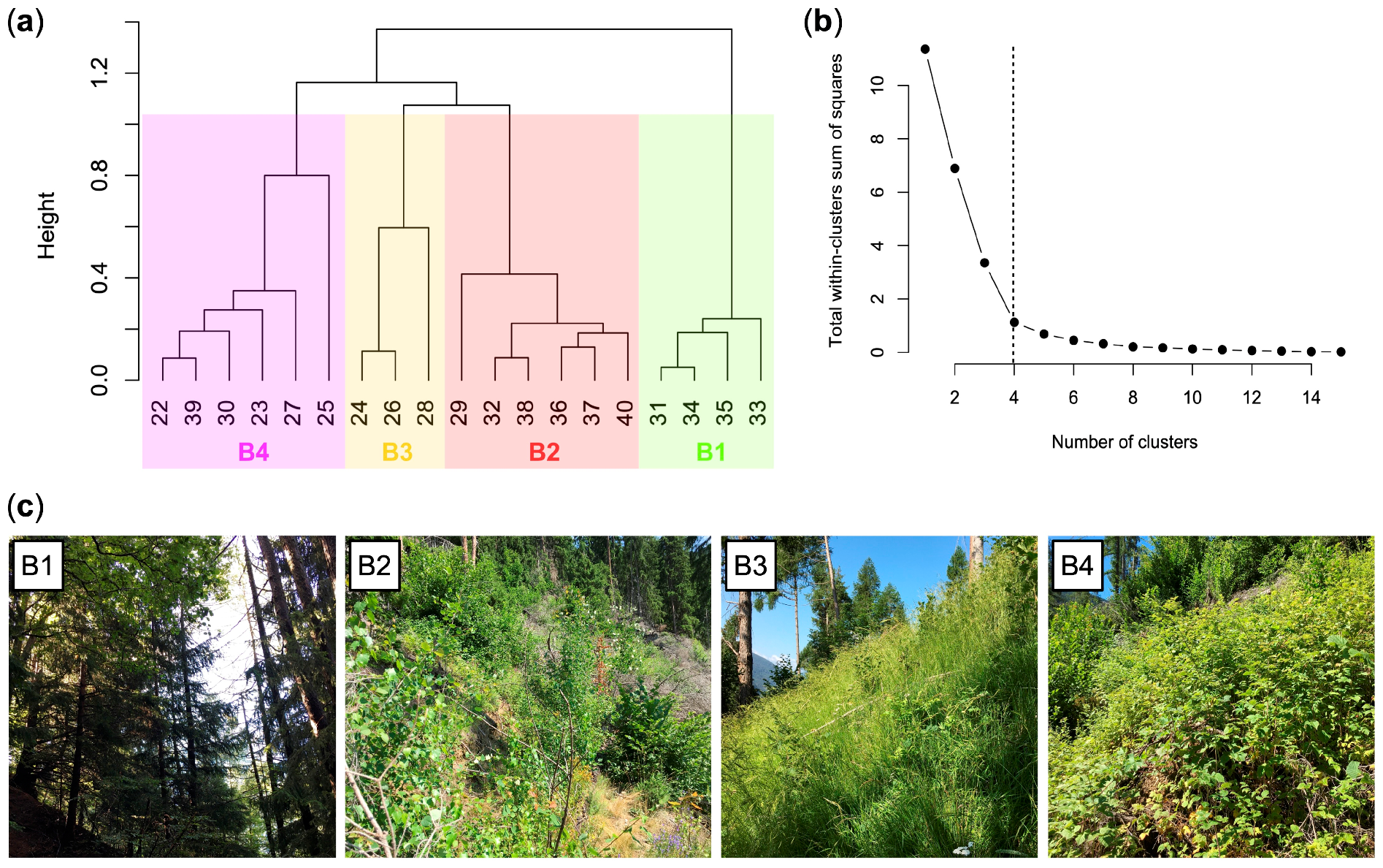 Plants 12 01369 g006