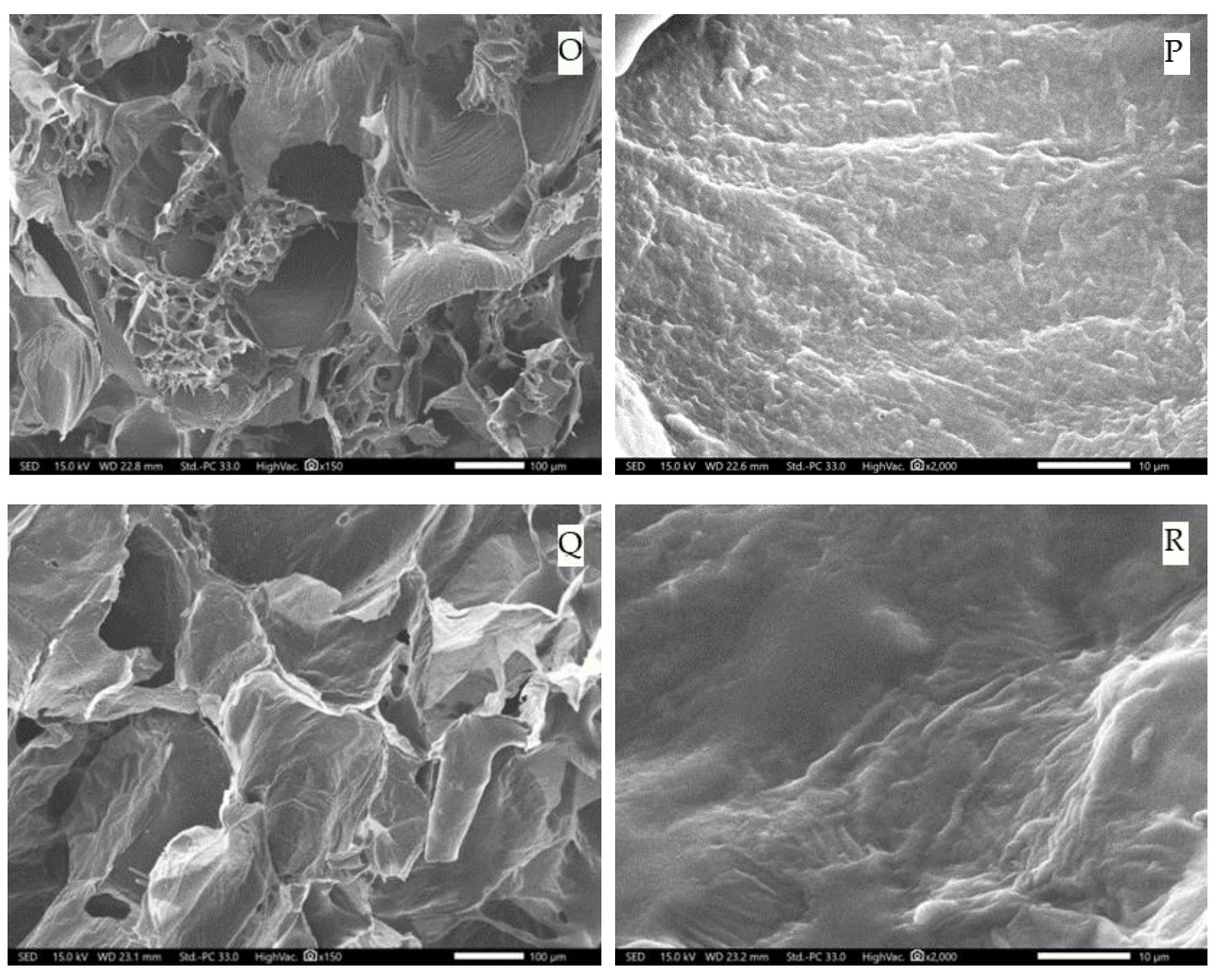 Plants 12 01372 g006c Plants 12 01372 g006c