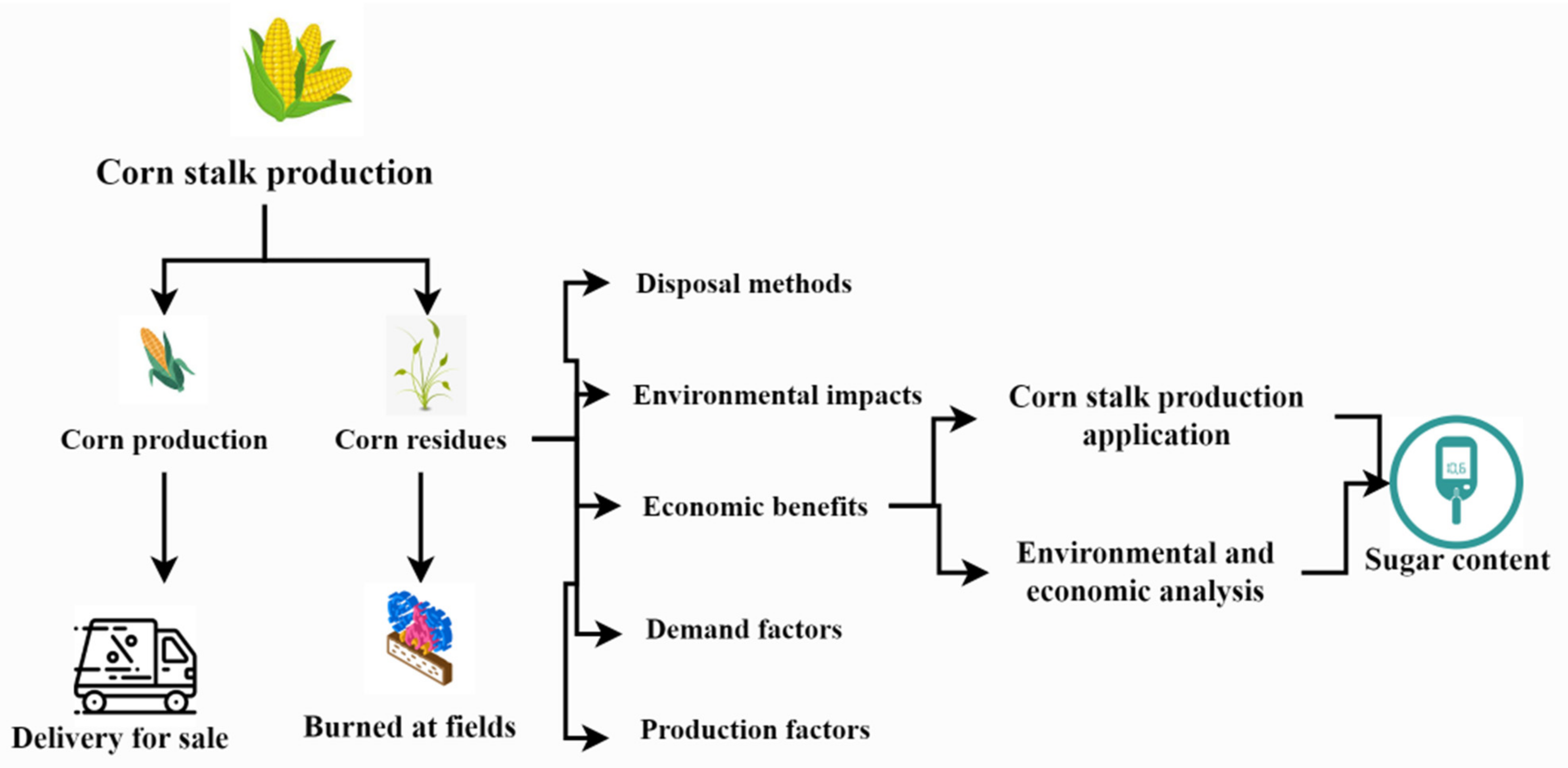 Plants 12 01373 g001 550