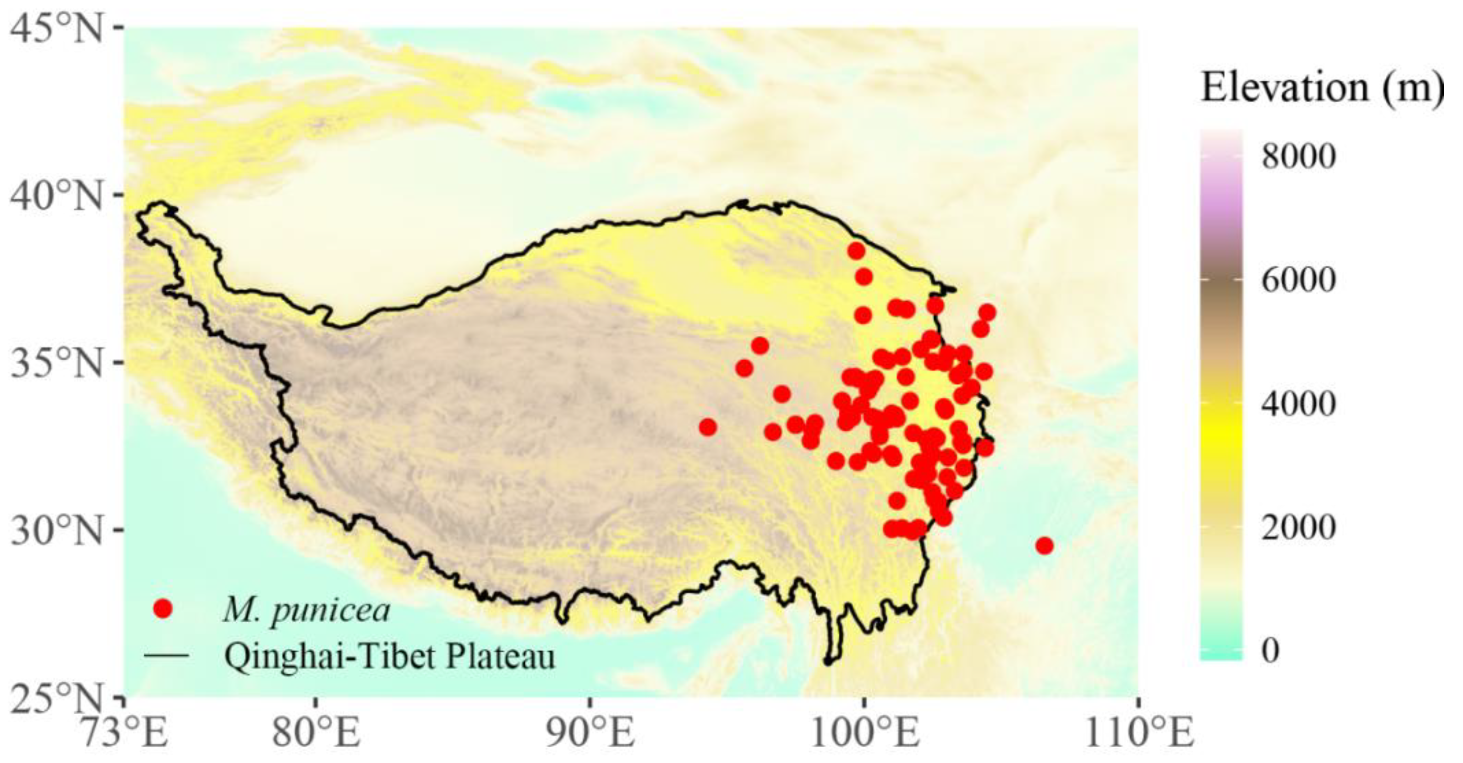 Plants 12 01376 g009 Plants 12 01376 g009