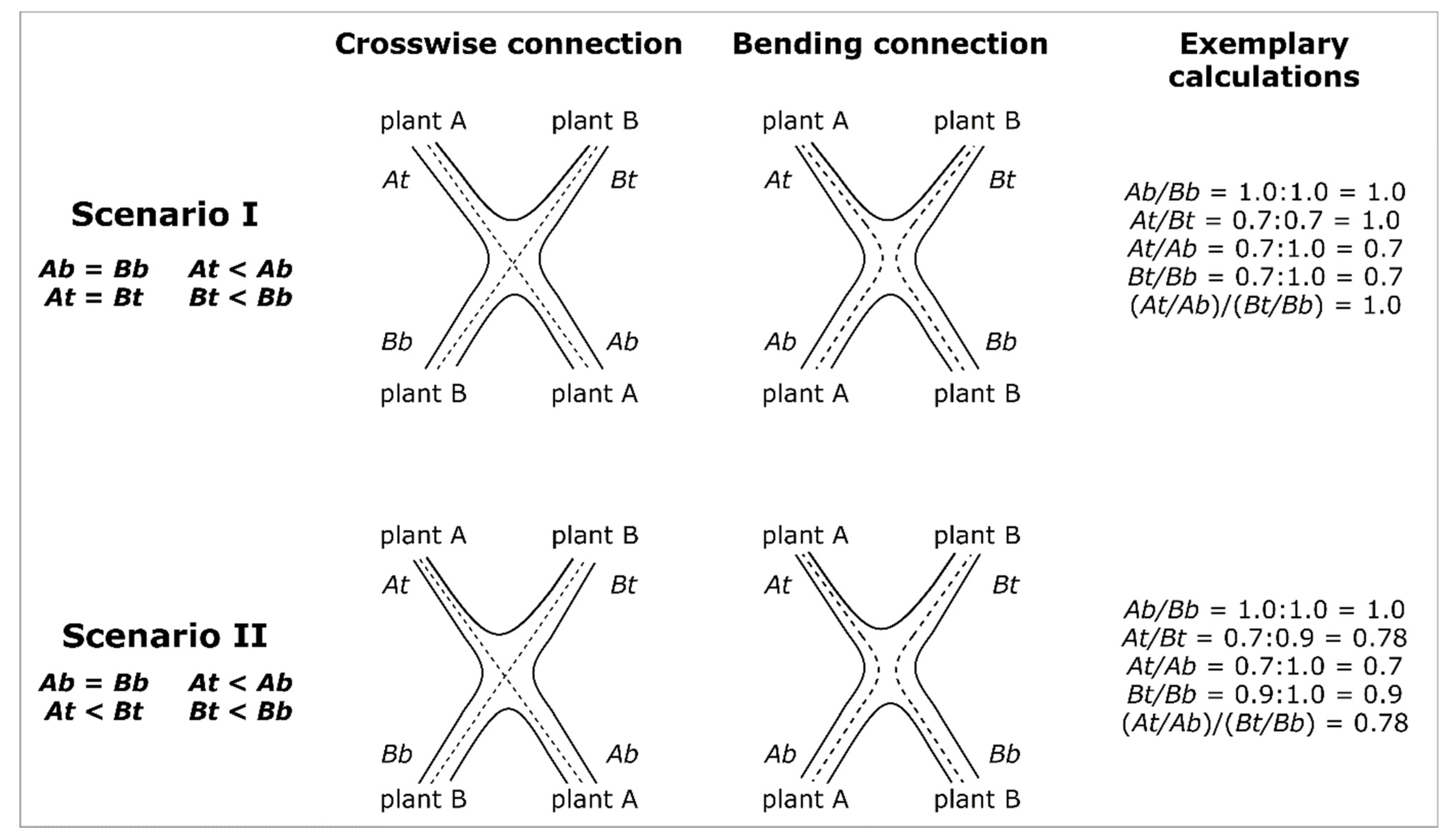 Plants 12 01385 g004 Plants 12 01385 g004