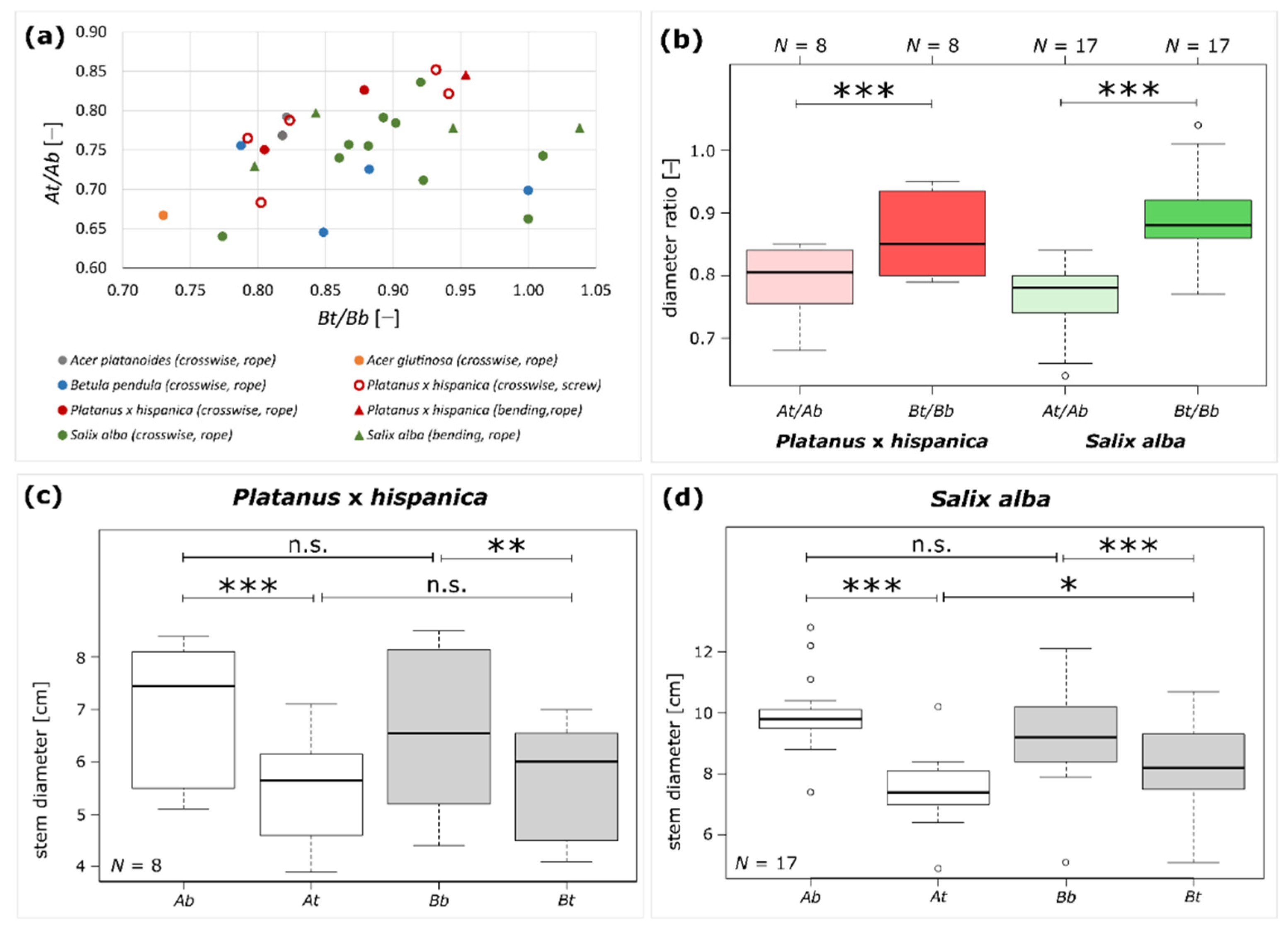 Plants 12 01385 g005 Plants 12 01385 g005