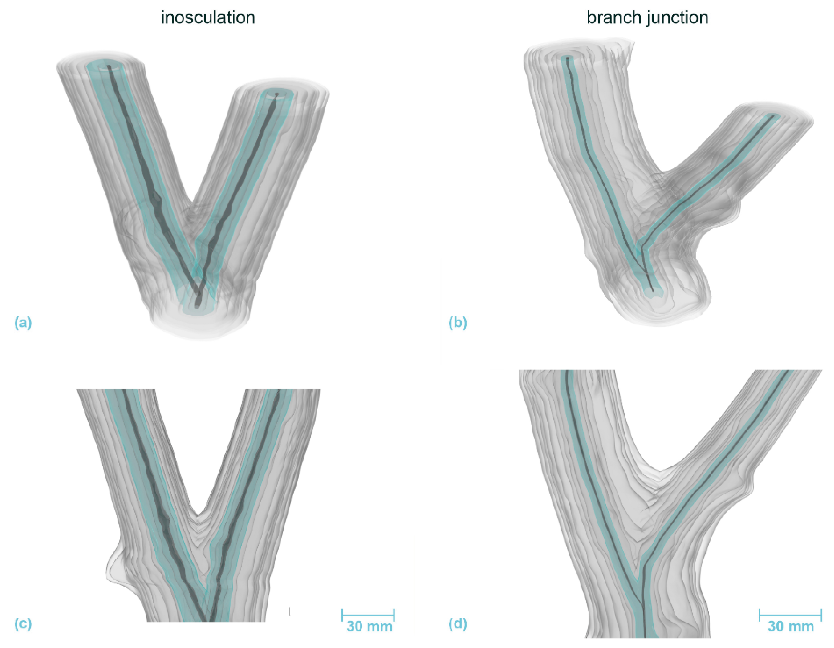 Plants 12 01385 g009 Plants 12 01385 g009
