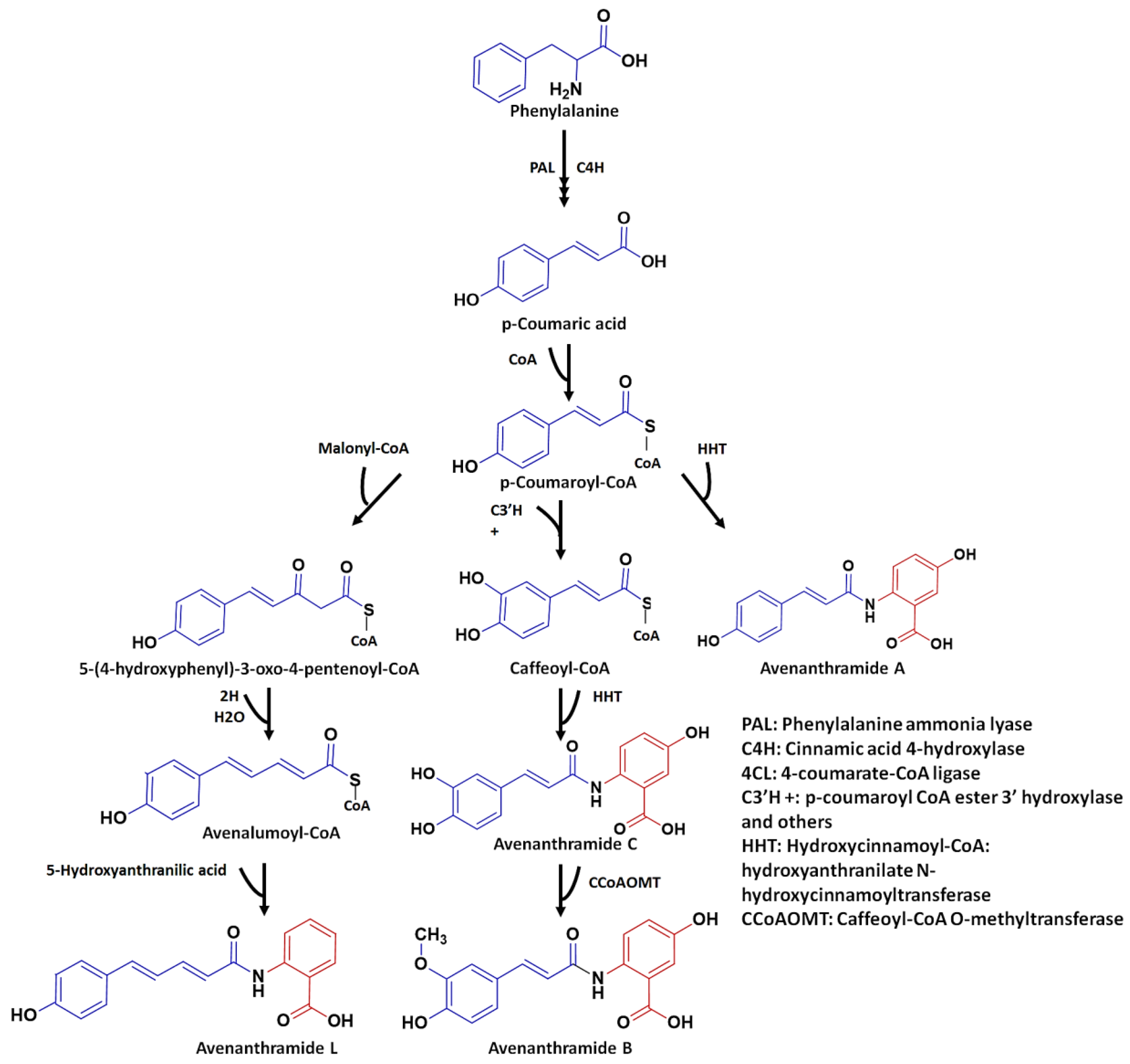 Plants 12 01388 g001