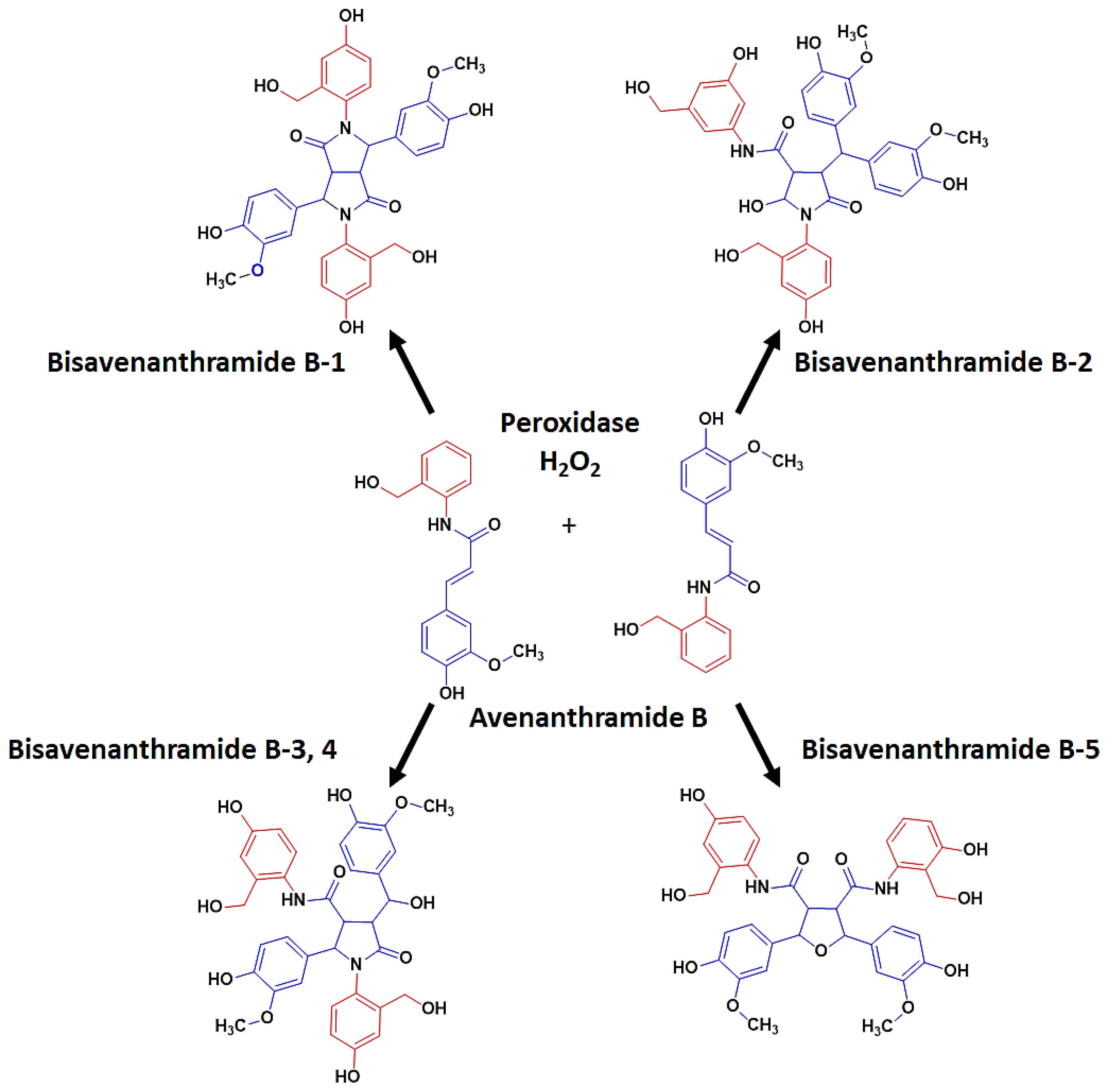 Plants 12 01388 g003