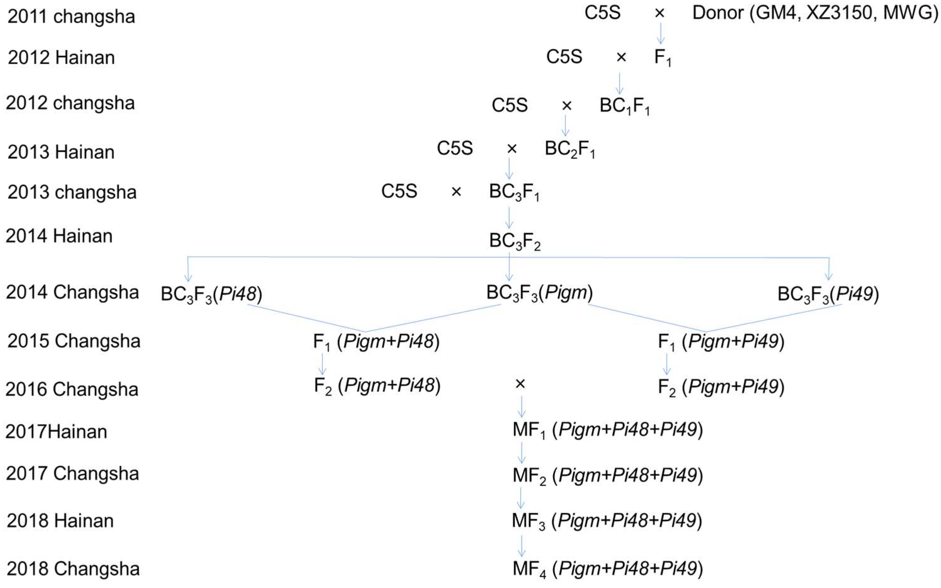 Plants 12 01389 g001 Plants 12 01389 g001